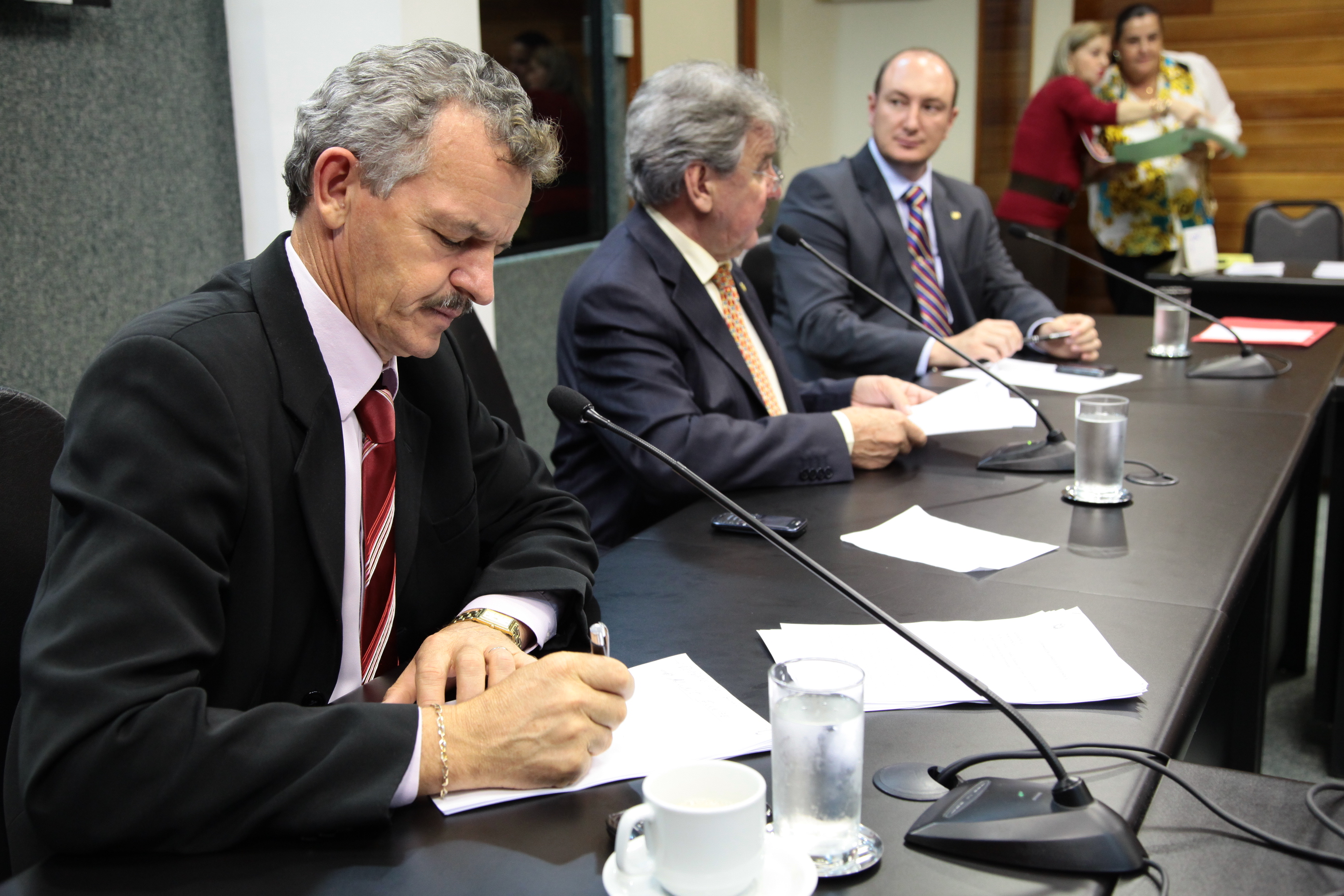 Reunião da Comissão de Agricultura.  Foto: Miriam Zomer