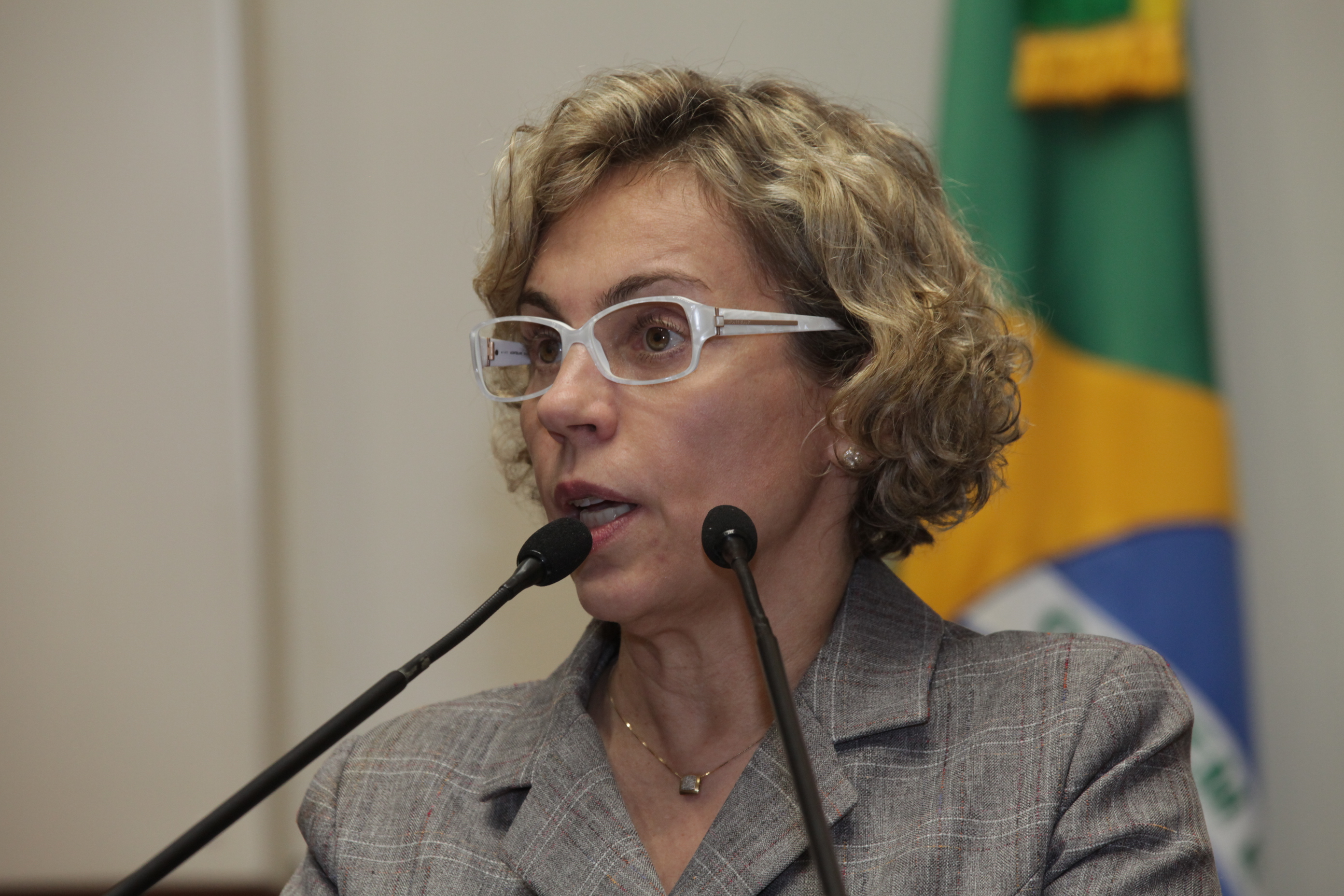Sessão Ordinária Plenário Osni Régis. Deputada Ana Paula Lima (PT)