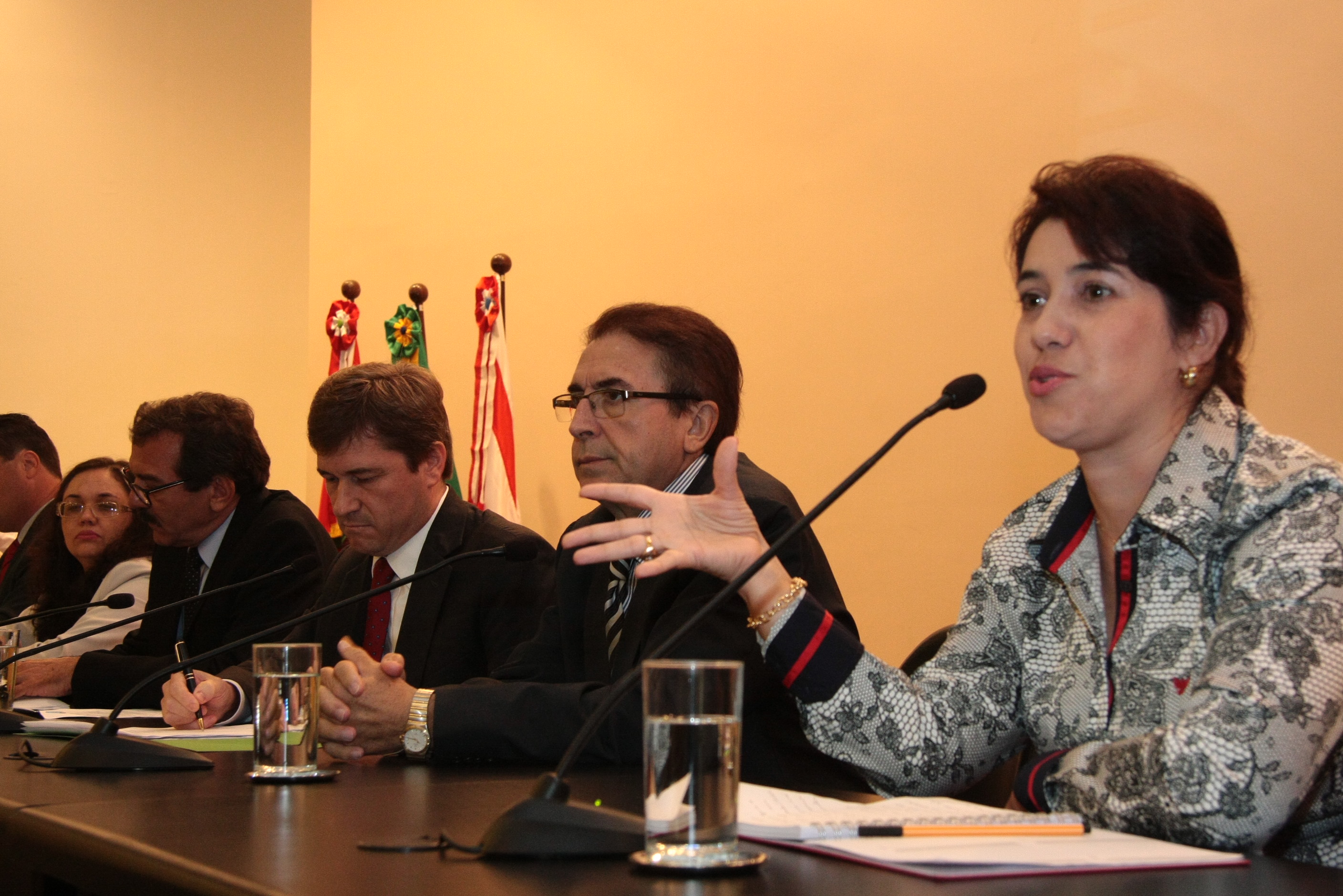 Audiência Pública solicitada pelo Conselho Estadual dos Direitos da Pessoa Portadora de Deficiência - CONEDE. Foto: Eduardo Guedes de Oliveira