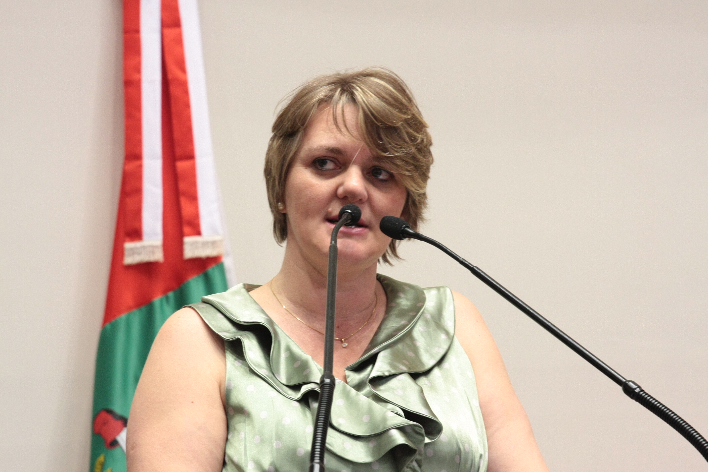 Sessão Ordinária - Plenário Osni Régis - DeputadA: Luciane Carminatti (PT) - Foto: Eduardo Guedes de Oliveira