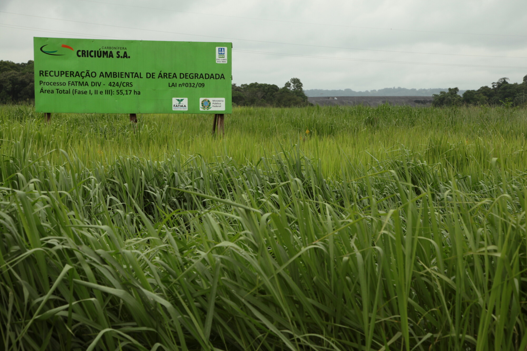 Carvão mineral: meios para produção limpa e recuperação das áreas danificadas