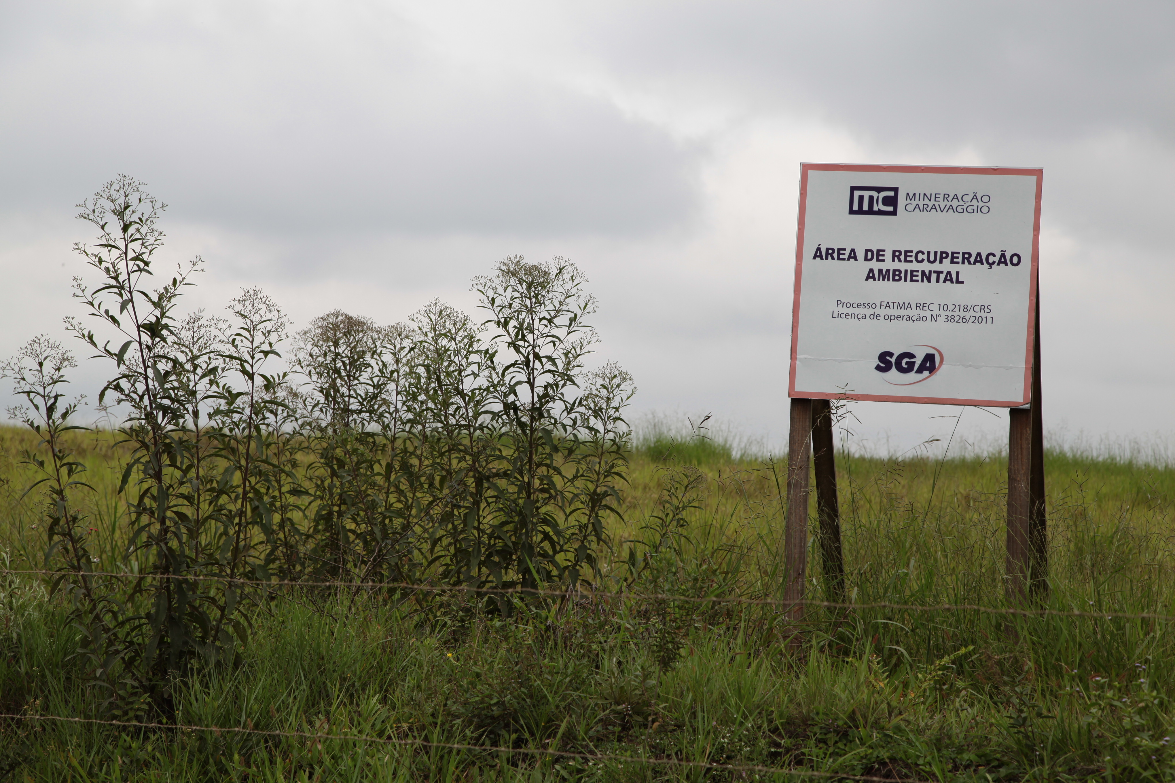 Recuperação Ambiental de área degradada. Foto: Miriam Zomer