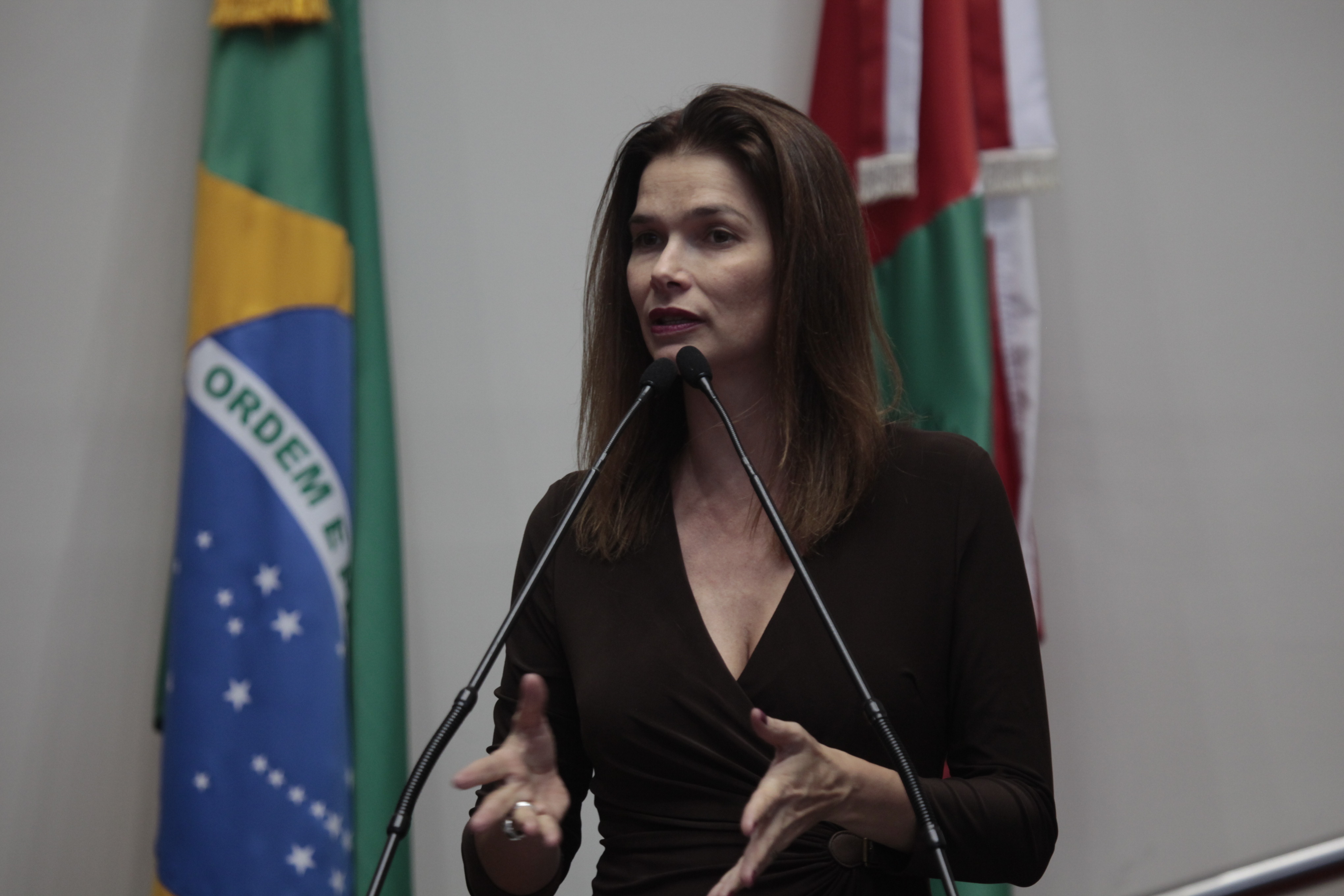 Sessão Ordinária - Plenário Osni Régis  - Deputada Angela Albino (PCdoB) Foto: Carlos Kilian