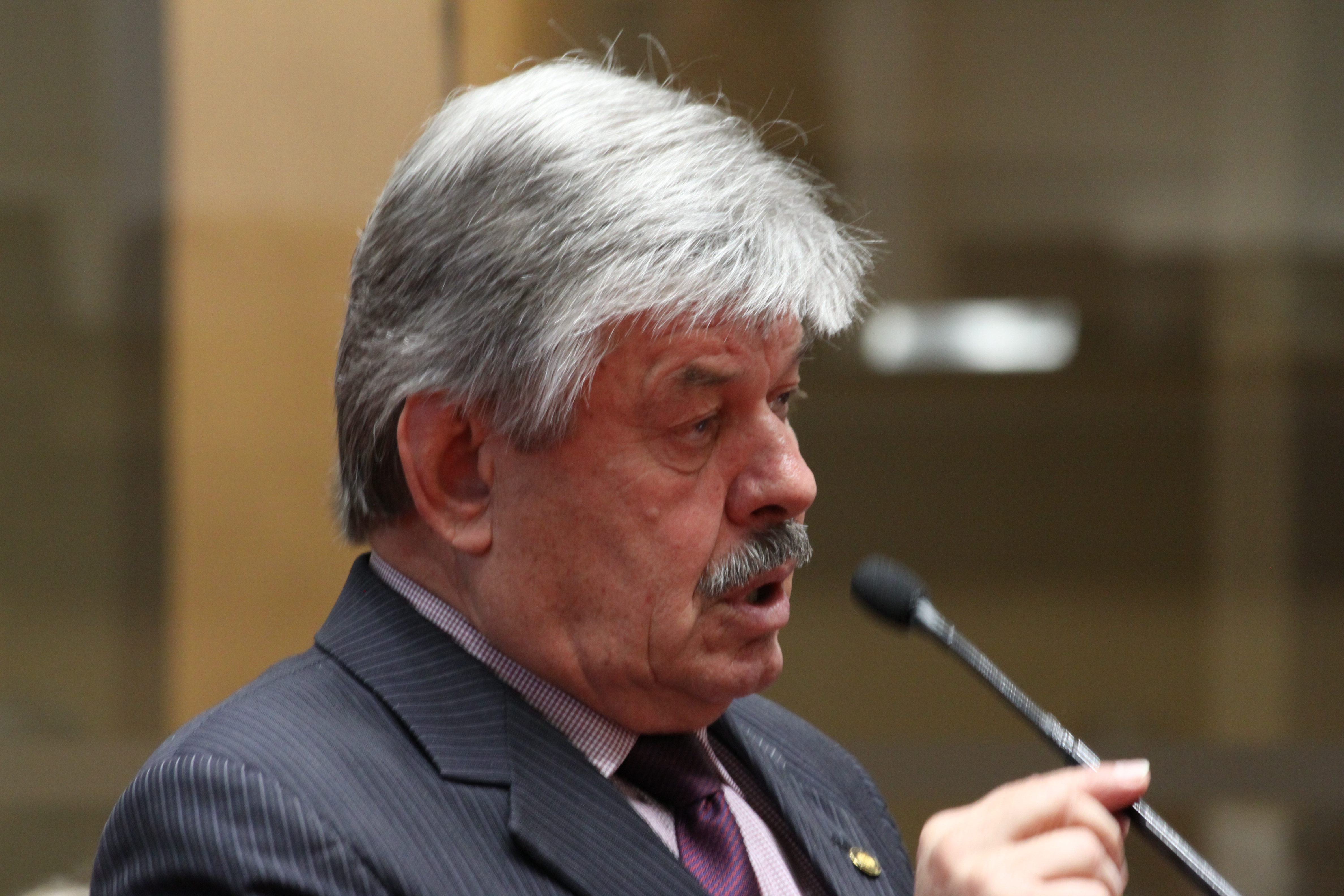 Sessão Ordinária Plenário Osni Régis. Foto: Eduardo Guedes de Oliveira