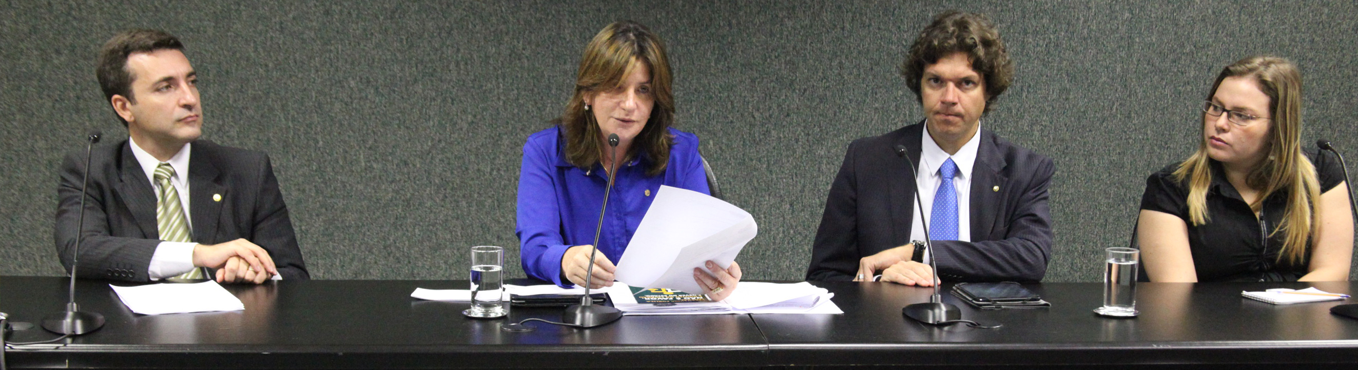 Reunião da Comissão Especial que proferirá parecer sobre a PEC 207. Foto: Fábio Queiroz.