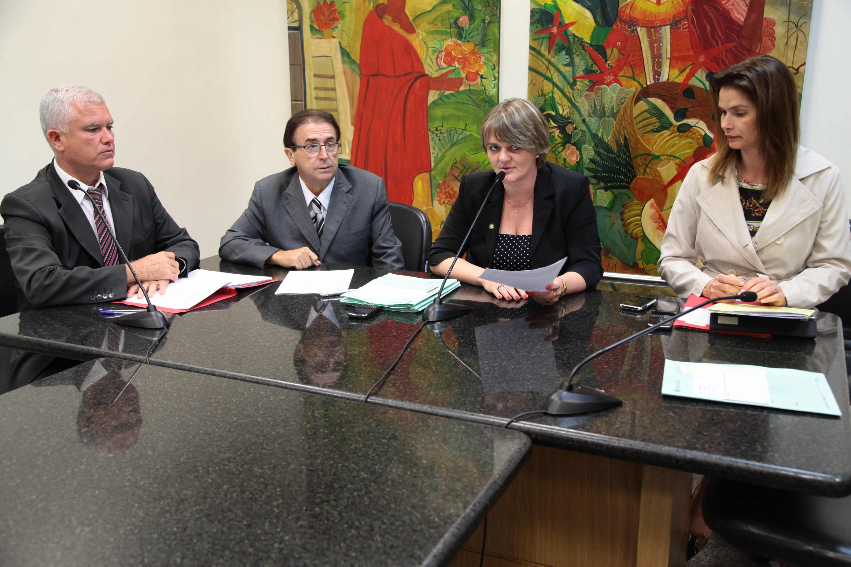 Reunião da Comissão de Direitos e Garantias Fundamentais de Amparo à Família e à Mulher e Comissão de Educação, Cultura e Desporto.  Foto: Miriam Zomer
