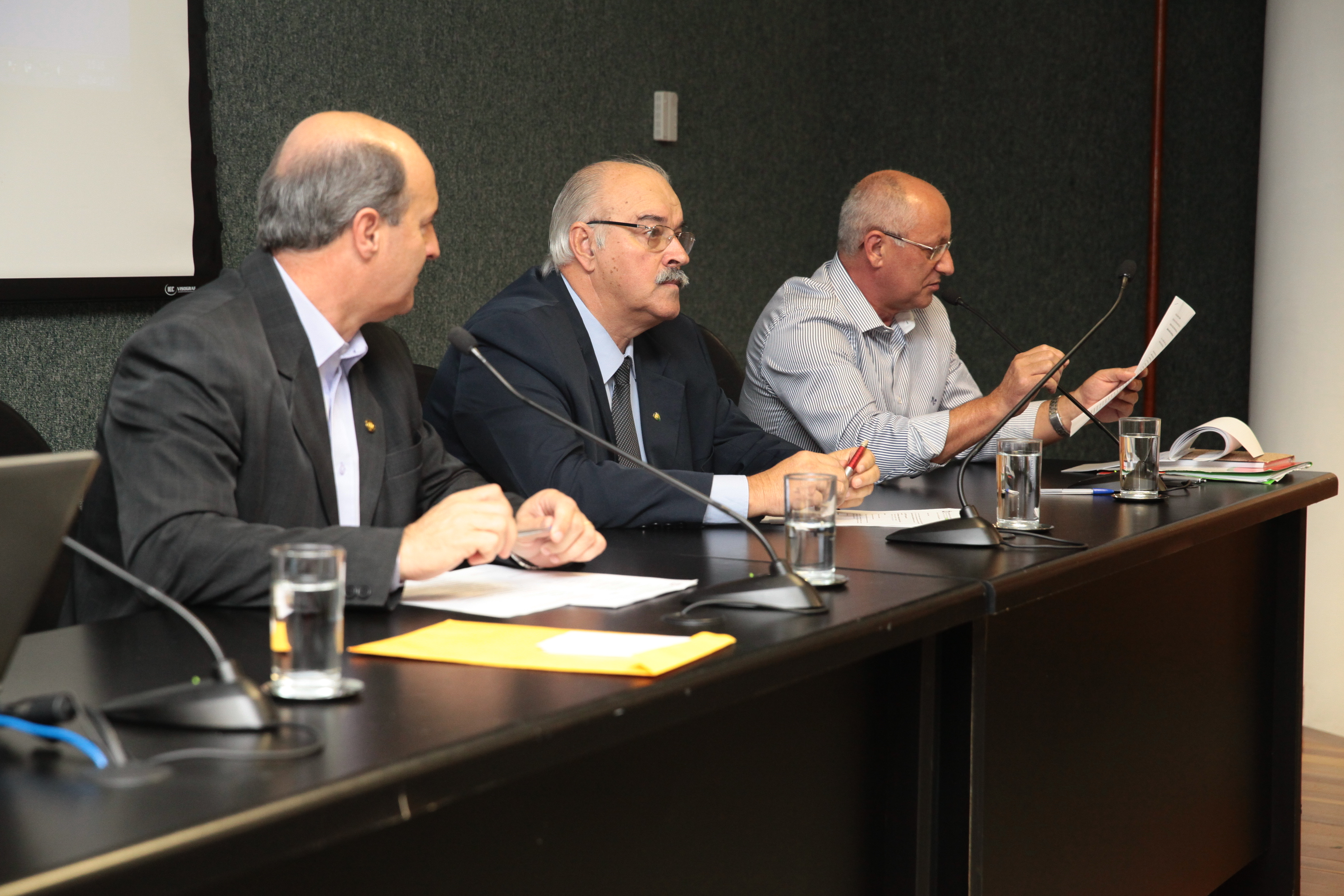 Reunião Ordinária da Câmara Setorial da Cadeia Produtiva do Arroz 2012/2014 e Cadeia Produtiva do Leite. Foto: Miriam Zomer