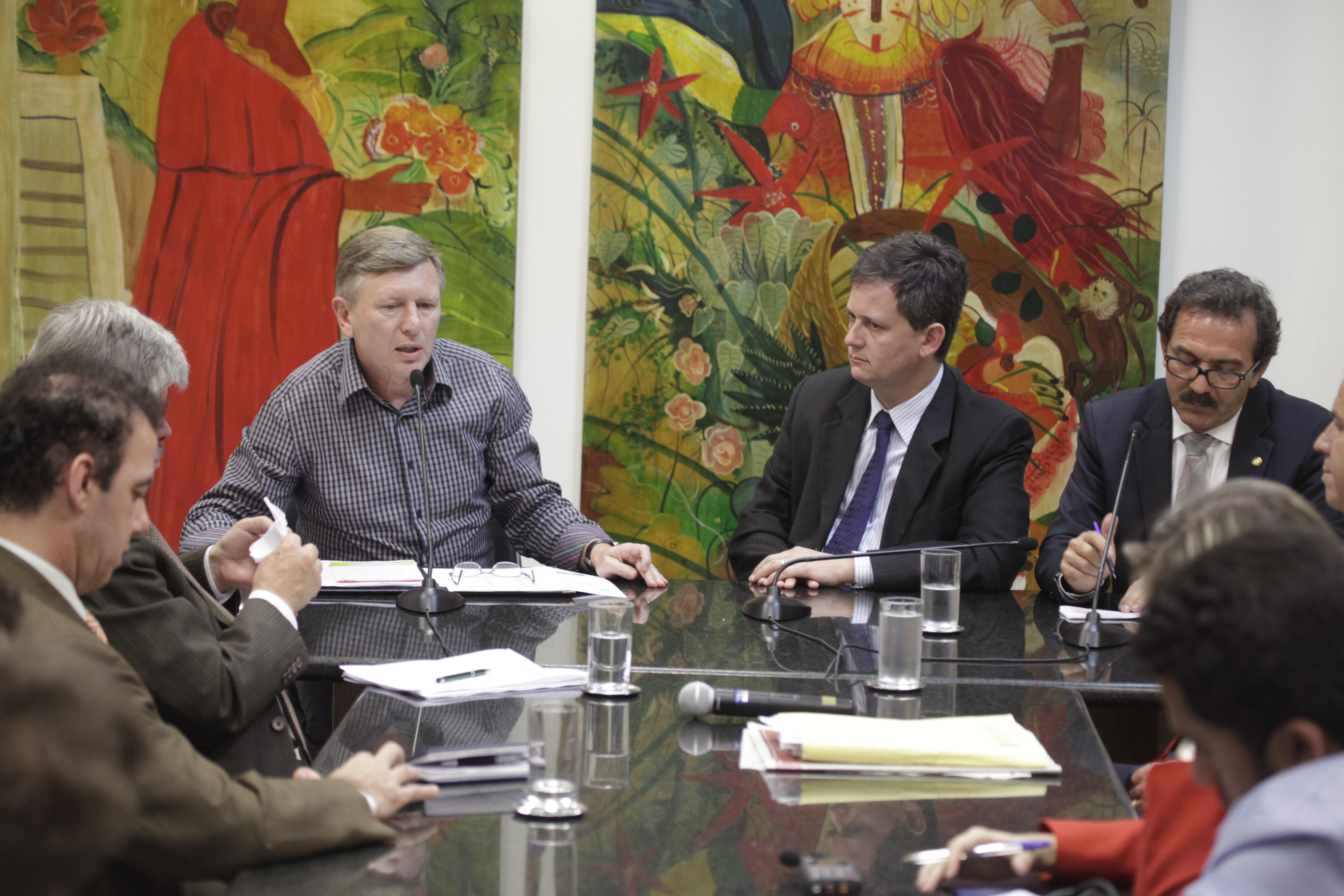 Reunião da Comissão de Proteção Civil. Foto: Carlos Kilian