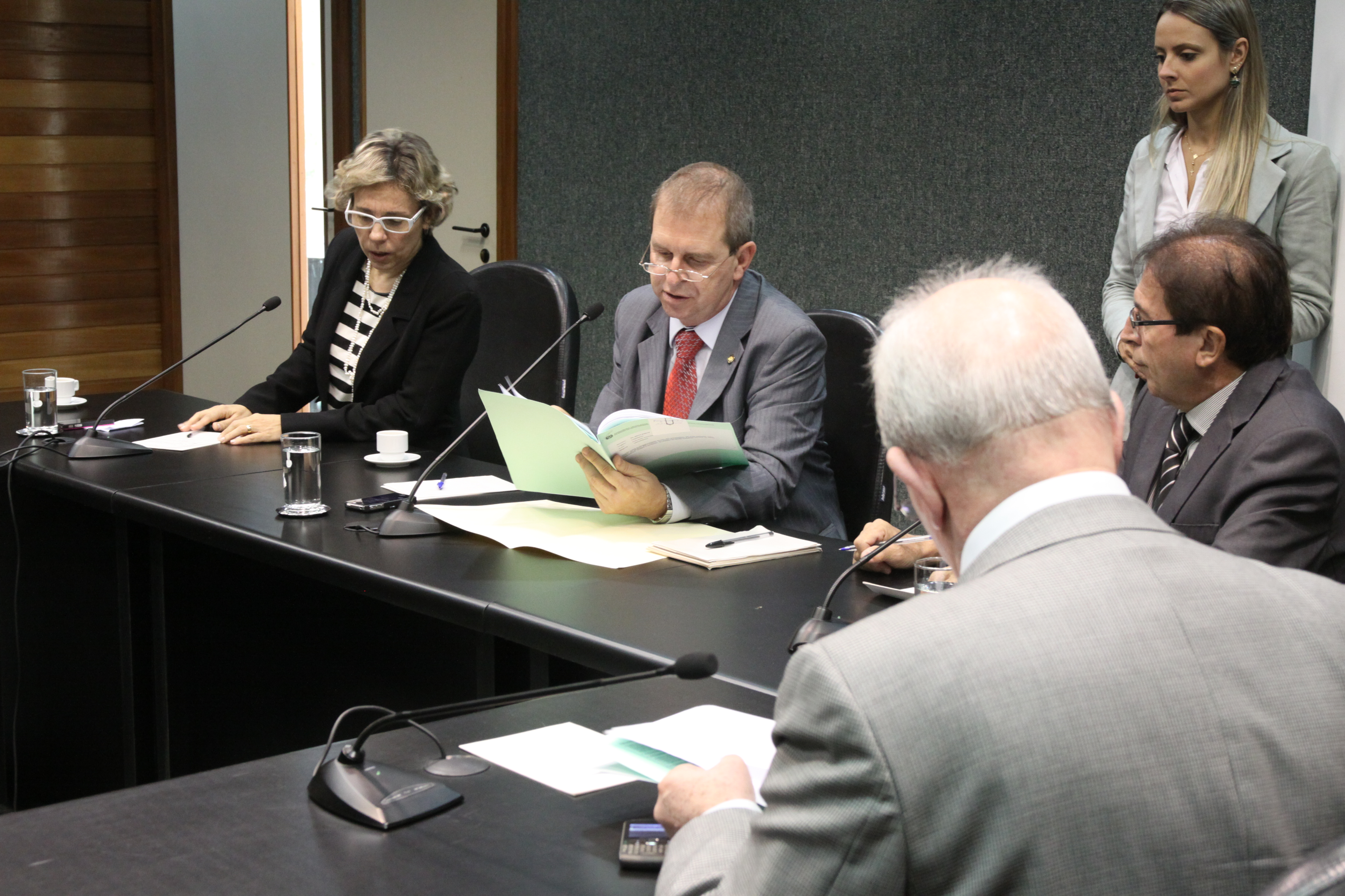Comissão de Segurança Pública - Foto: Eduardo Guedes de Oliveira