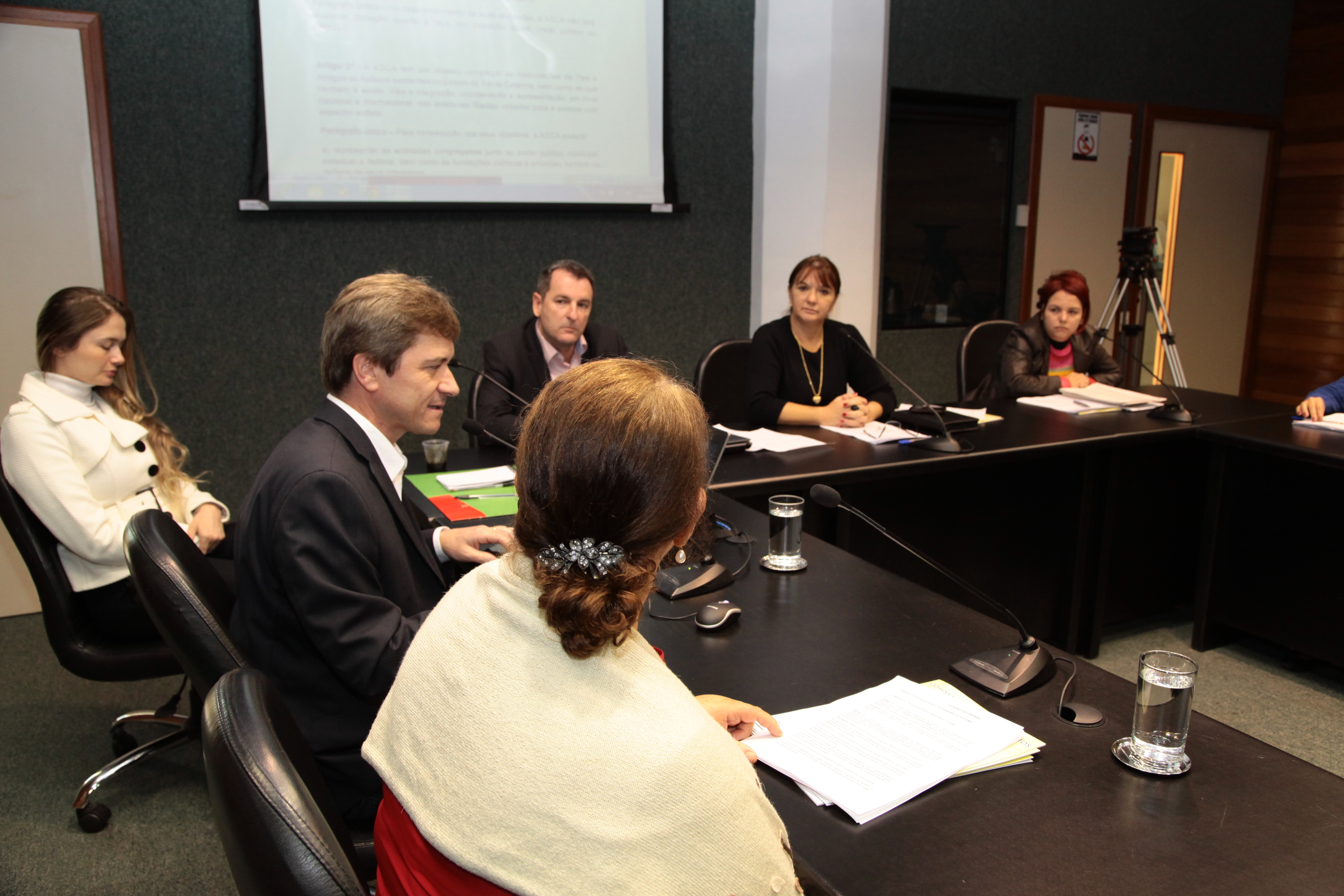 Comissão de Direitos da Pessoa com Deficiência. Foto: Alberto Neves