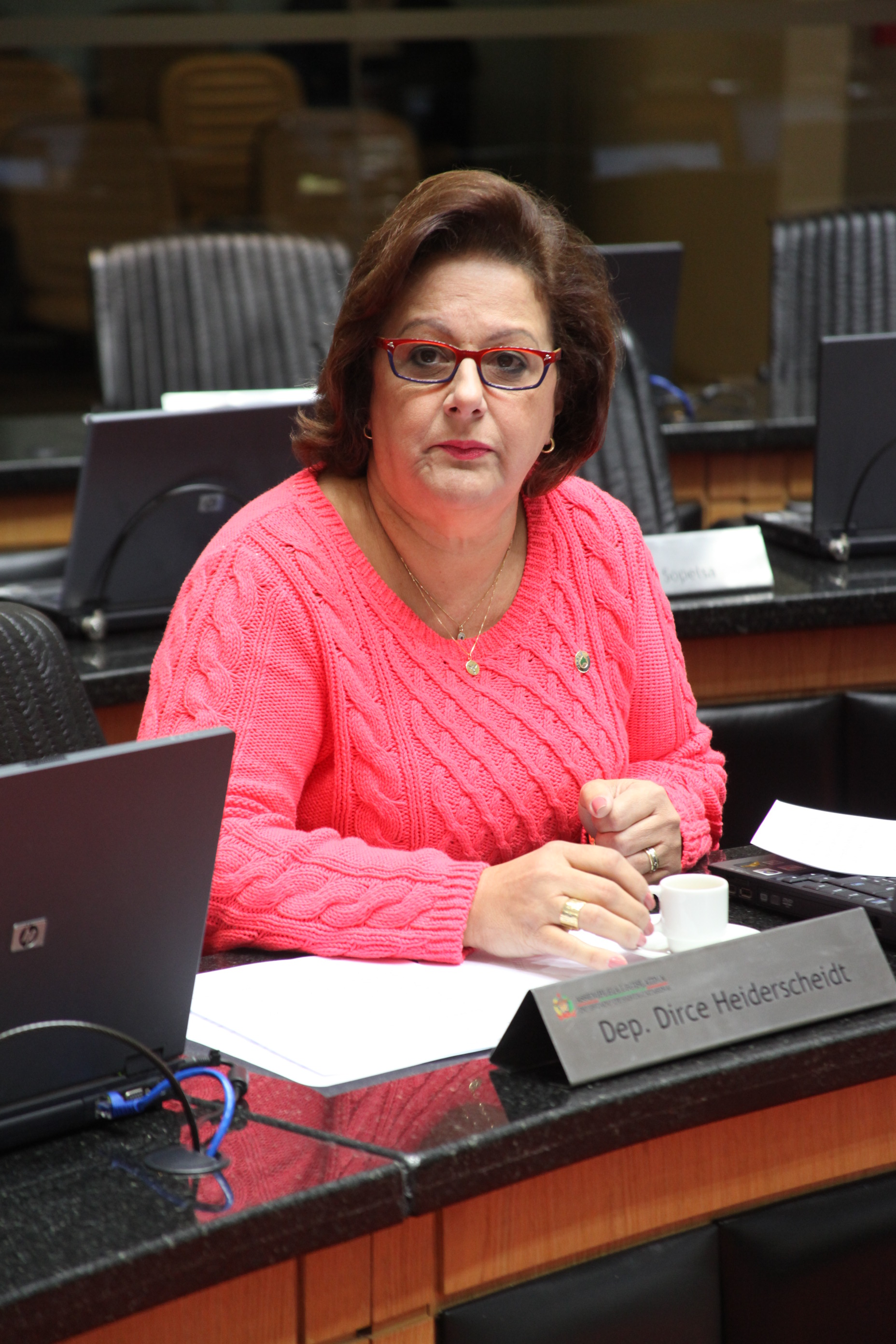 Deputada Dirce Heiderscheidt (PMDB) - Sessão Ordinária. Foto: Fábio Queiroz