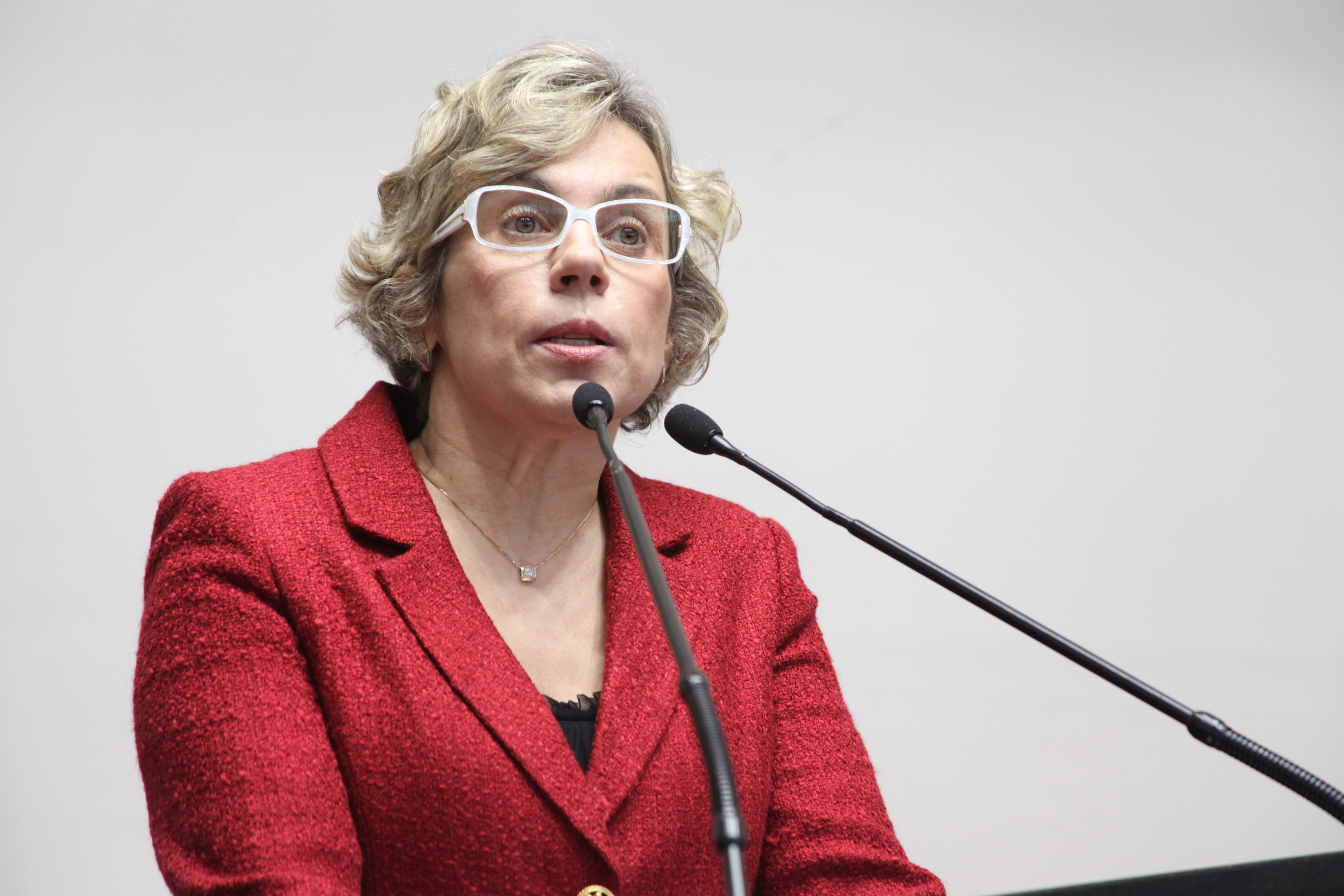 Deputada Ana Paula Lima (PT)  - Sessão Ordinária. Foto: Fábio Queiroz