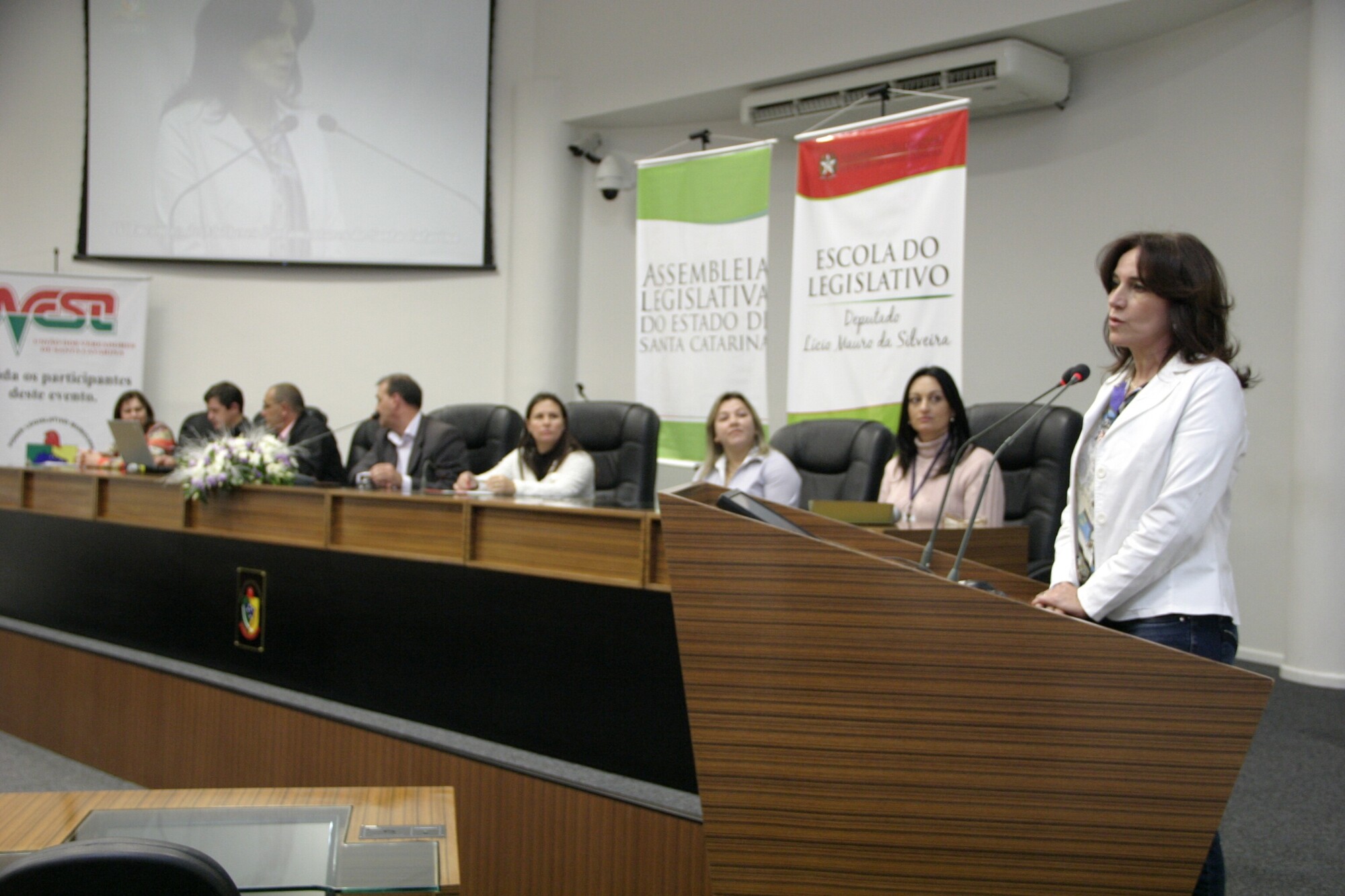 V Encontro de Mulheres Parlamentares debate participação política