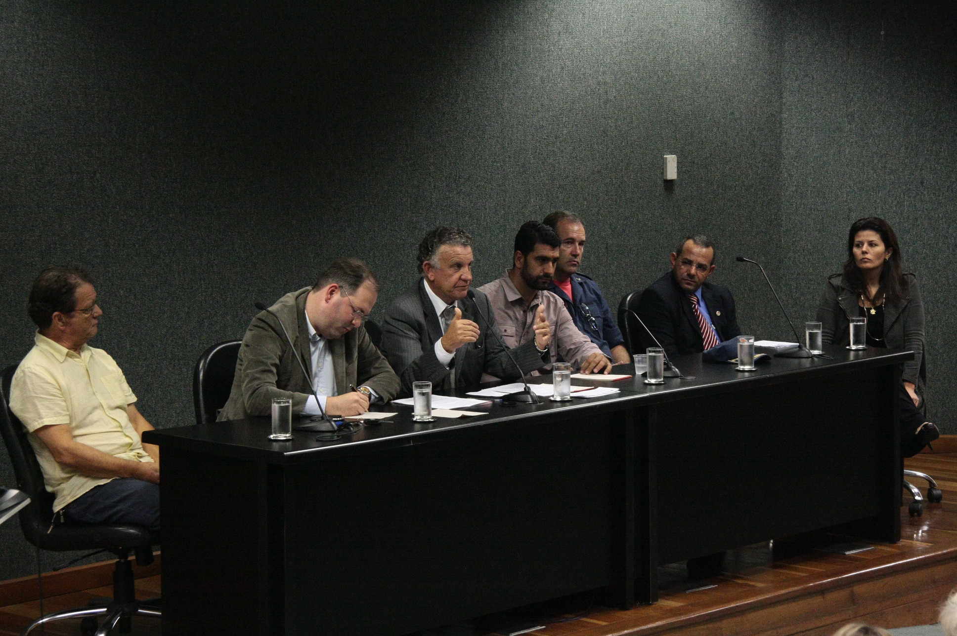 Audiência Pública 
