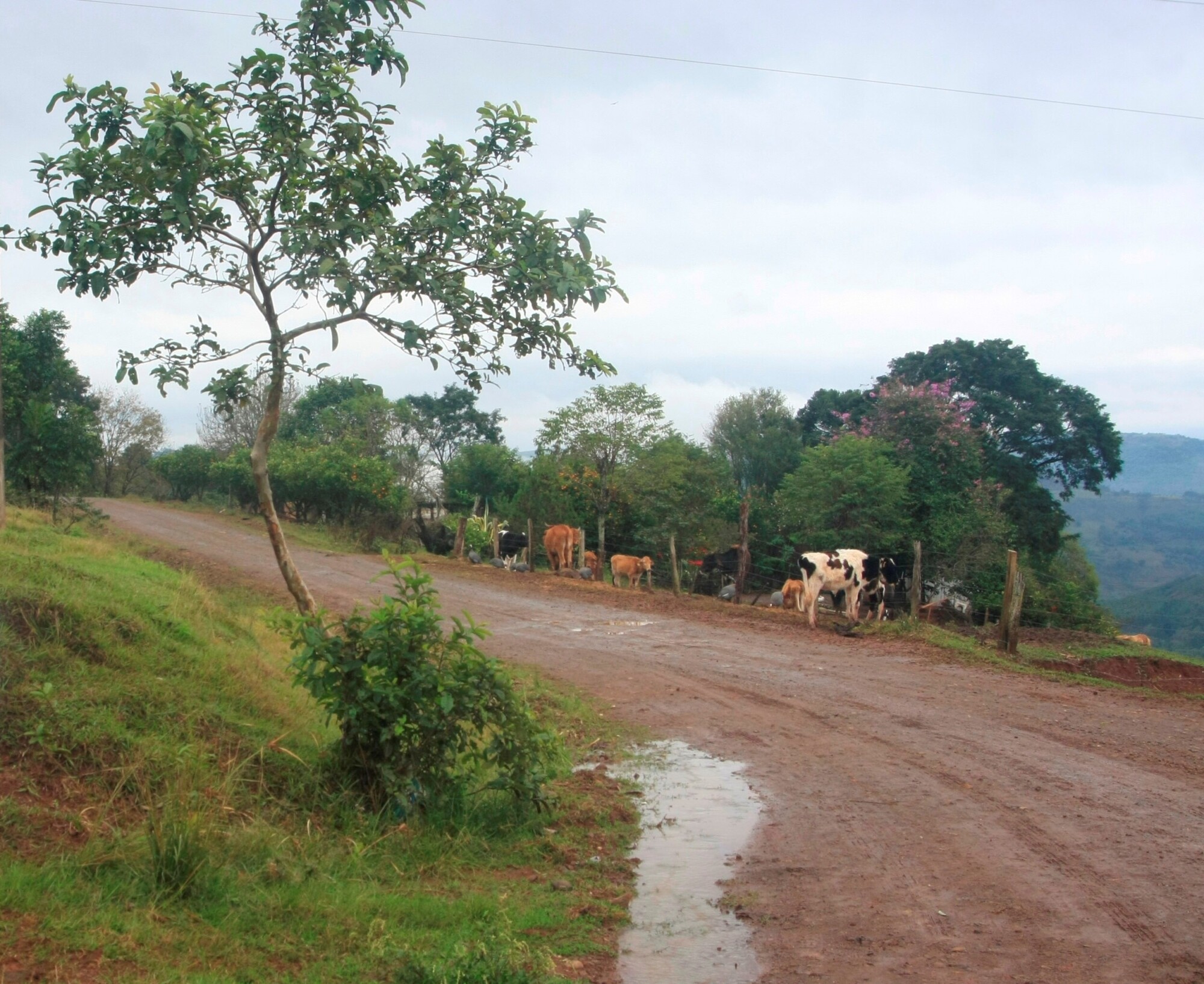 Regional de Chapecó prioriza pavimentação do acesso ao município de Paial