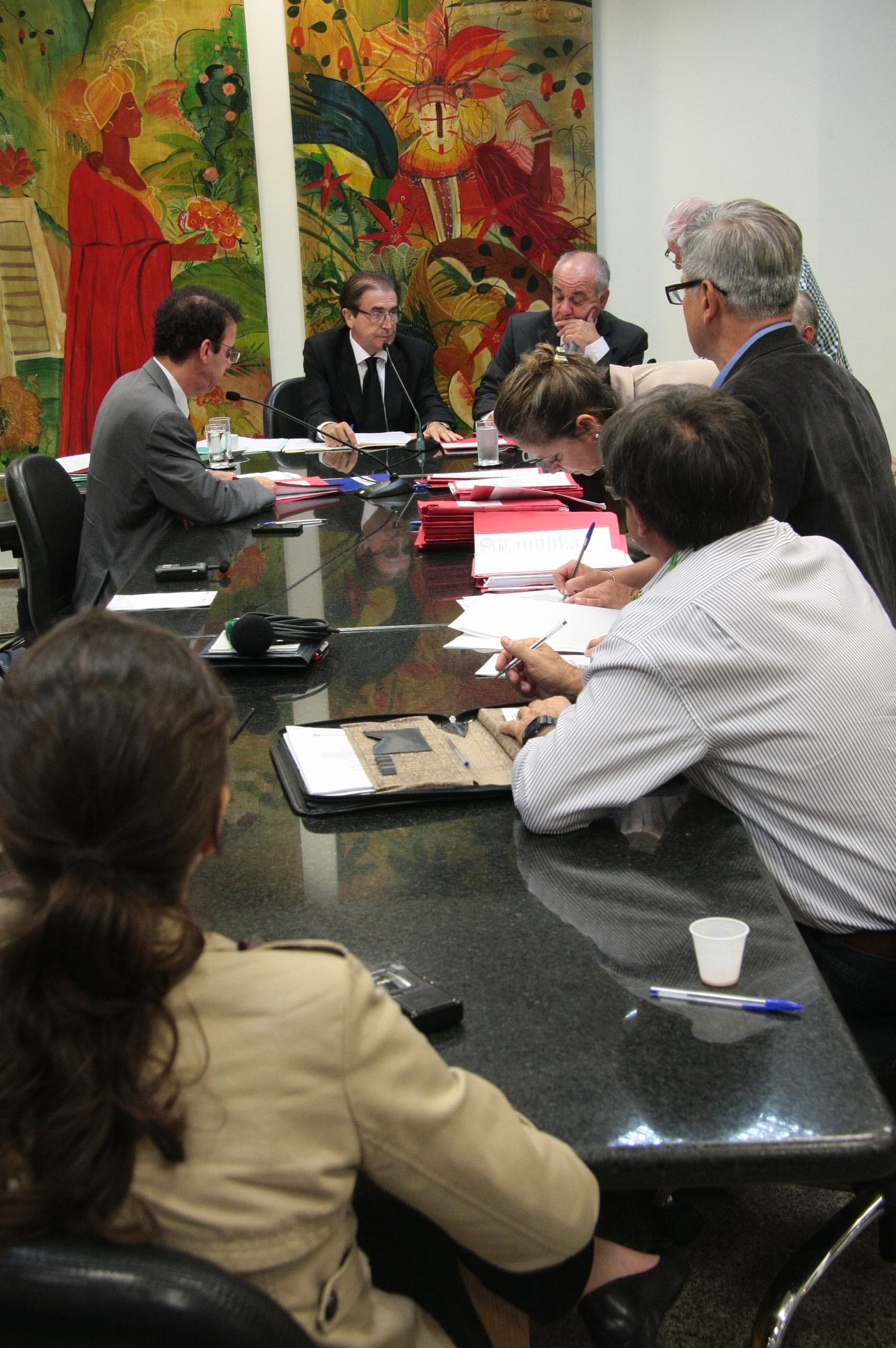 Reunião da Comissão de Educação. Foto: Fábio Queiroz