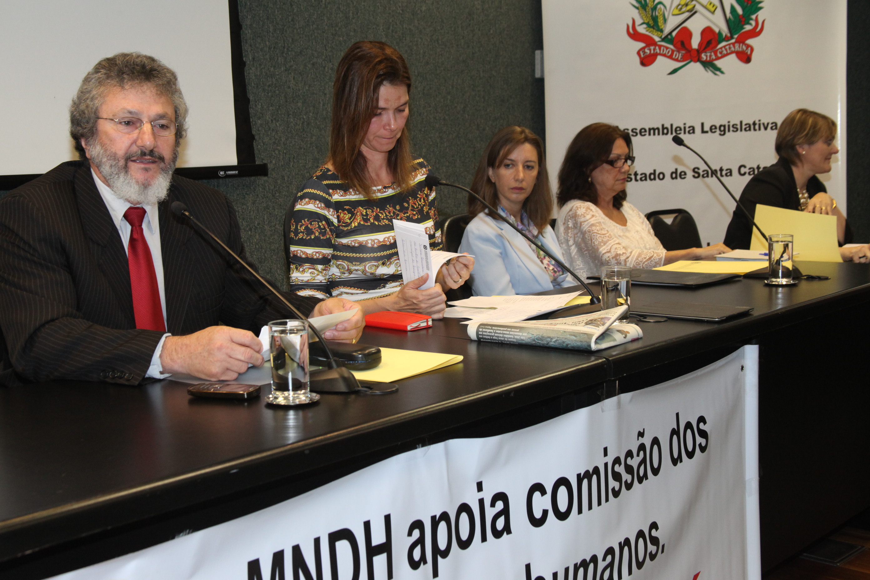 Audiência Pública para decidir sobre a criação do Conselho Estadual de Direitos Humanos. Foto: Fábio Queiroz
