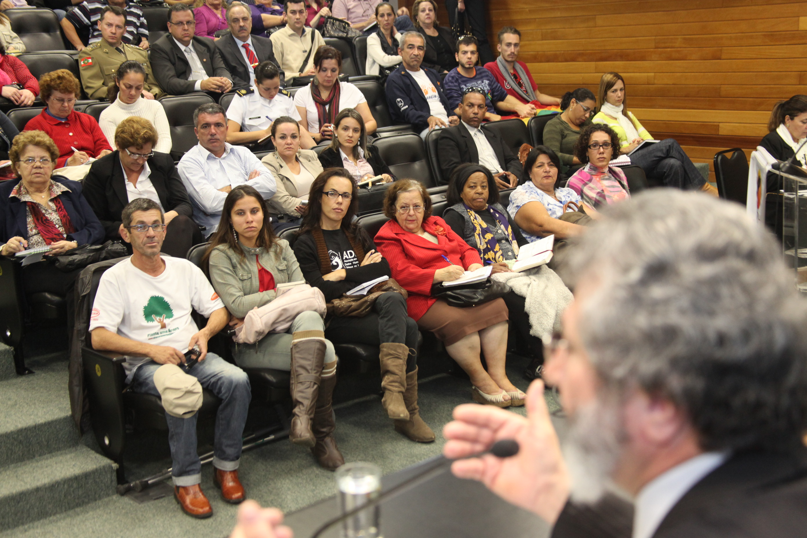 Audiência Pública para decidir sobre a criação do Conselho Estadual de Direitos Humanos. Foto: Fábio Queiroz