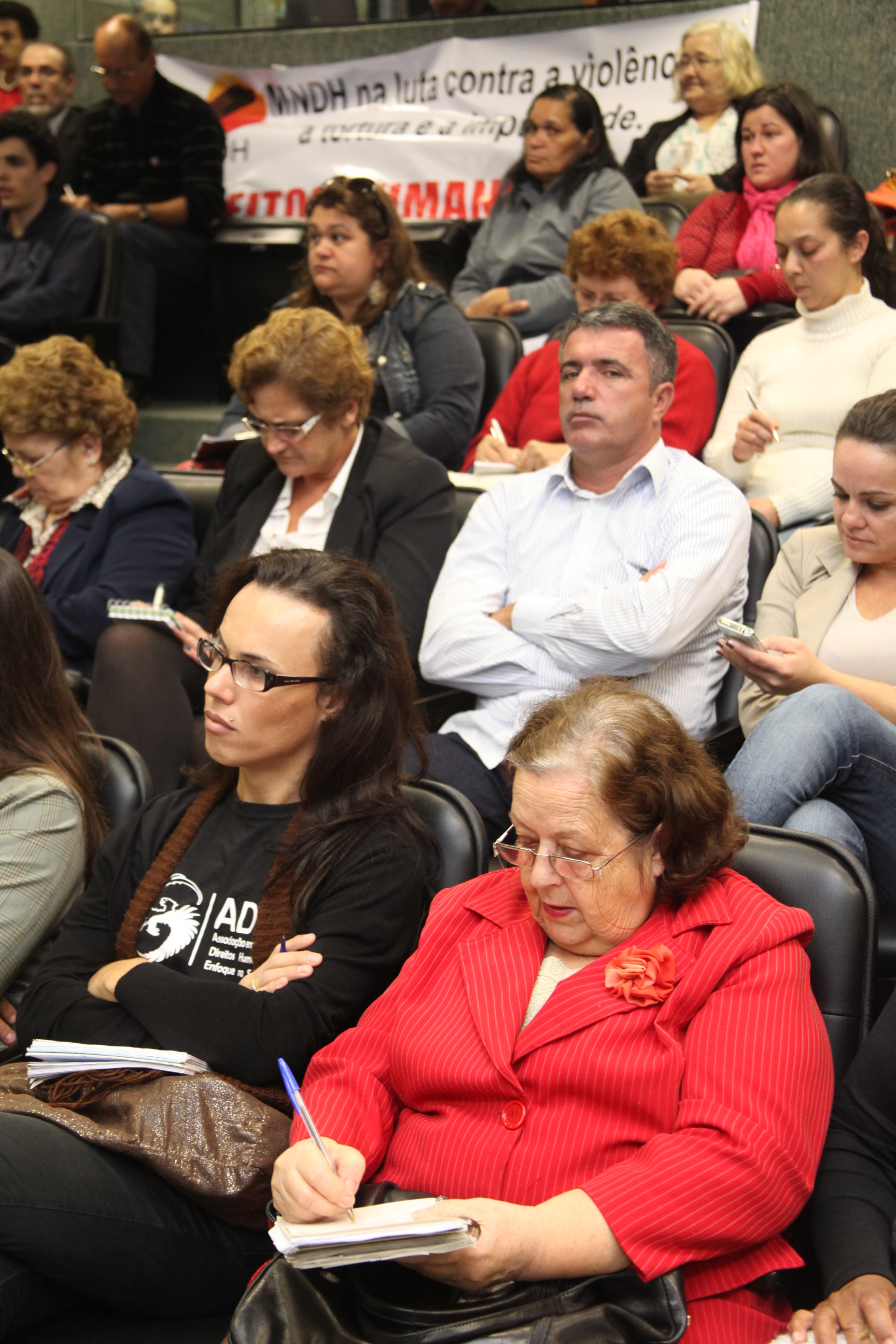 Audiência Pública para decidir sobre a criação do Conselho Estadual de Direitos Humanos. Foto: Fábio Queiroz