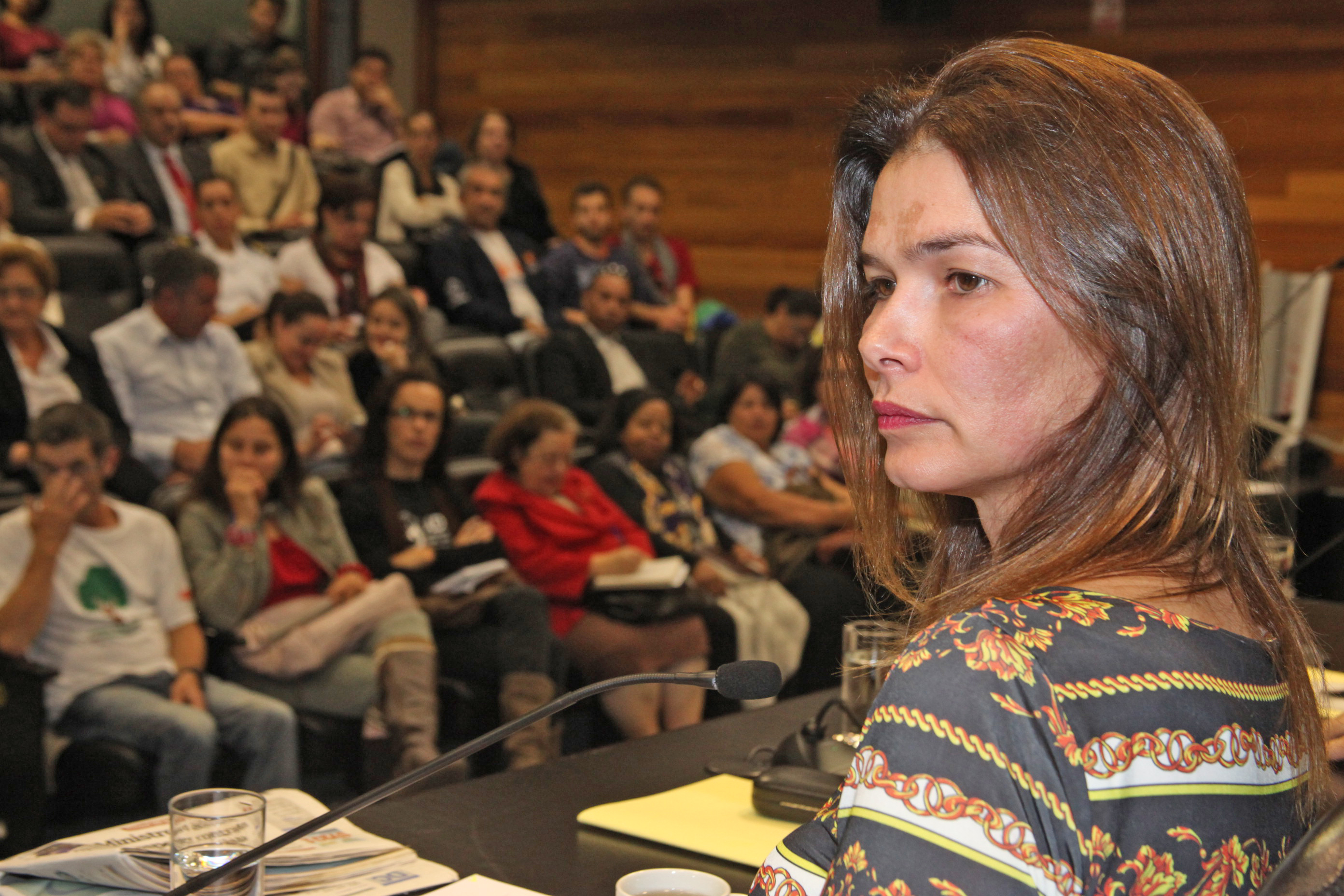Audiência Pública para decidir sobre a criação do Conselho Estadual de Direitos Humanos. Foto: Fábio Queiroz