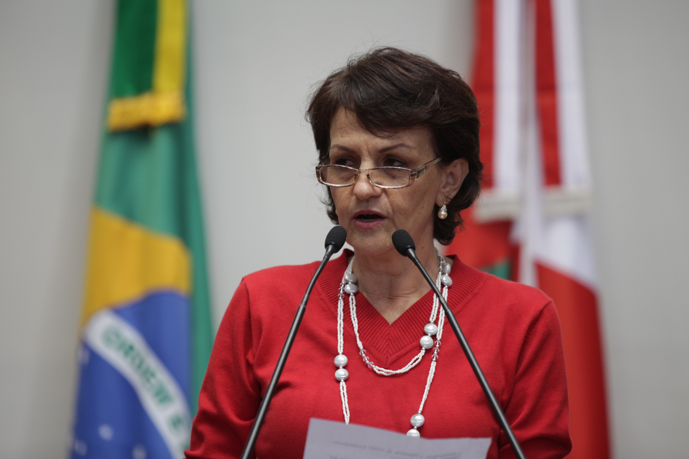 Sessão Ordinária - Plenário Osni Régis - Berenice Piana - Foto: SS