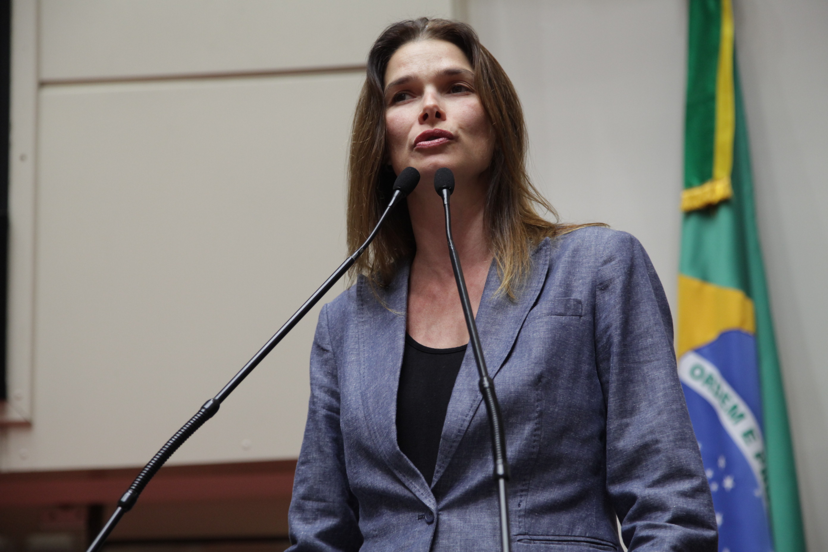 Sessão Ordinária - Plenário Osni Régis - Deputada: Angela Albino (PCdoB) - SS