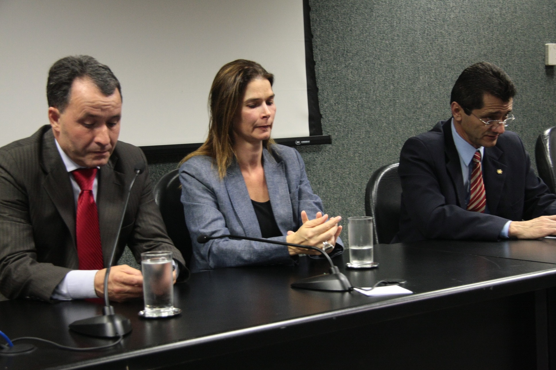 Primeira Reunião da Frente Parlamentar Contra a Violência  - Foto: Eduardo Guedes de Oliveira