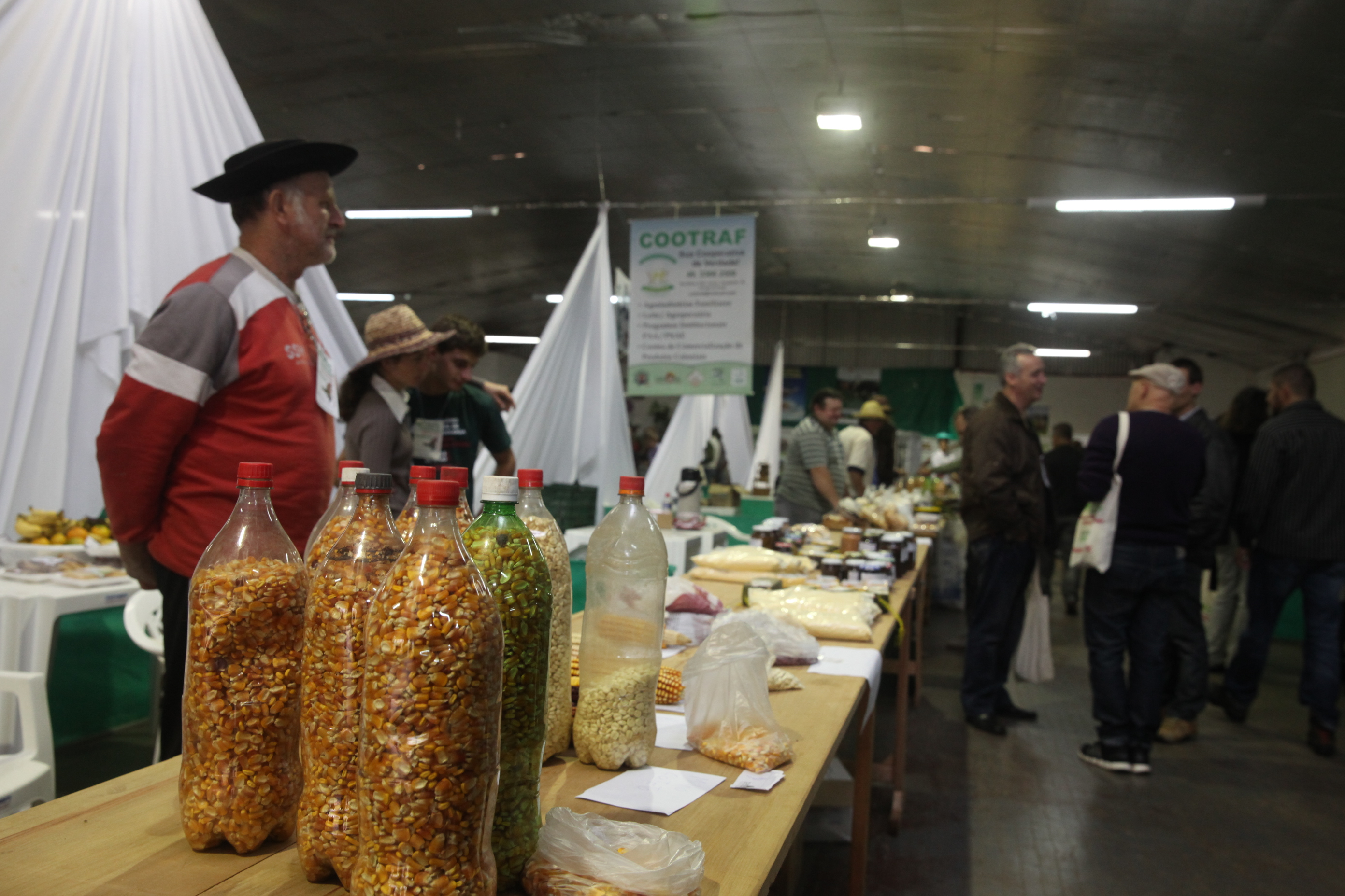 Seminário Estadual de Agroecologia- Pinhalzinho -SC Foto AN