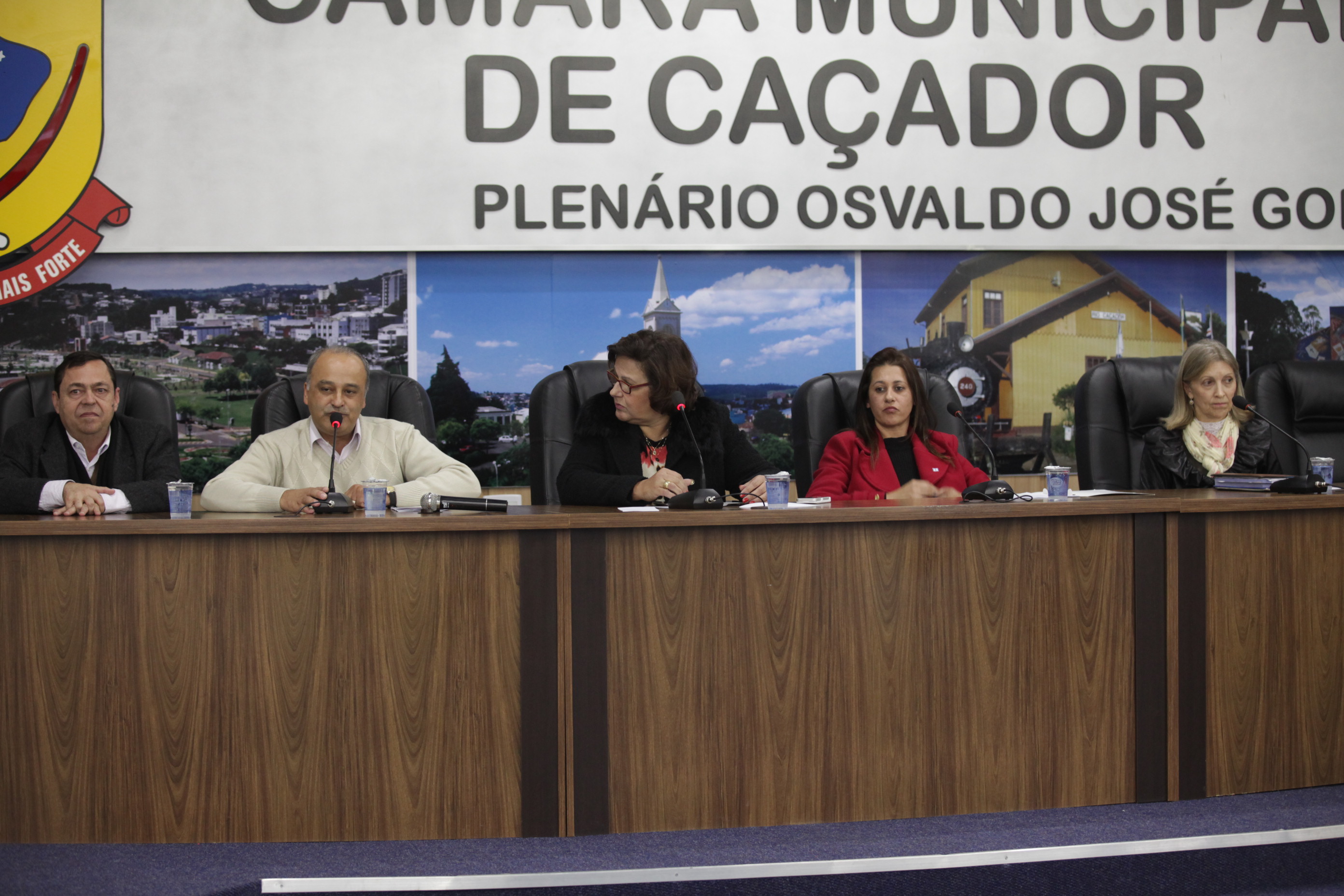 Audiência Pública da Federação Internacional sobre o Envelhecimento digno à Santa Catarina