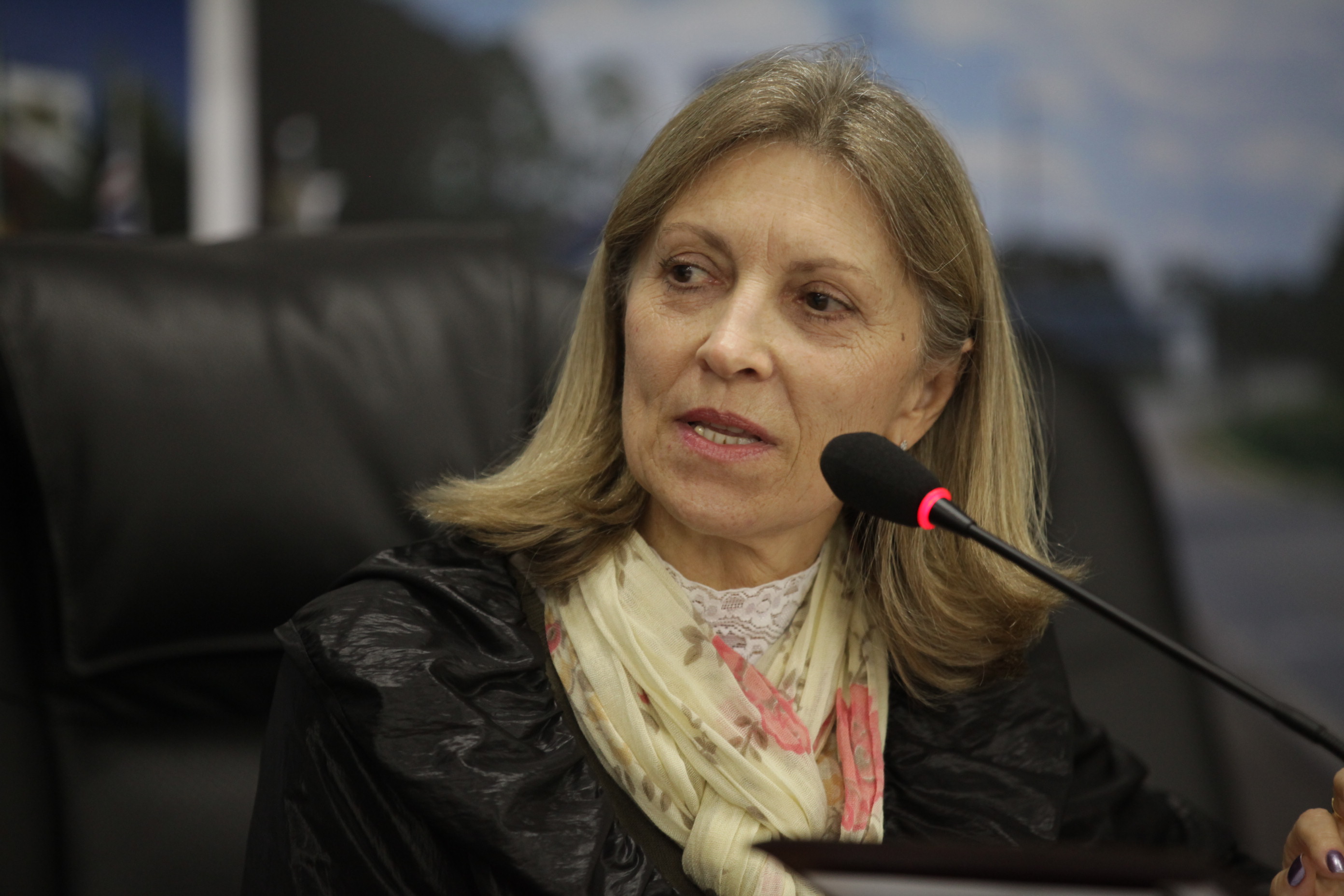 Erci Bohrer - Audiência Pública da Federação Internacional sobre o Envelhecimento digno à Santa Catarina