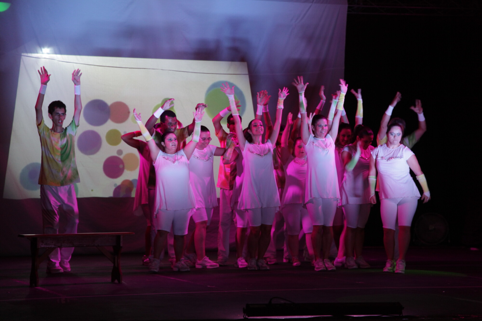 Apaes realizam IX Festival de Artes em Itajaí