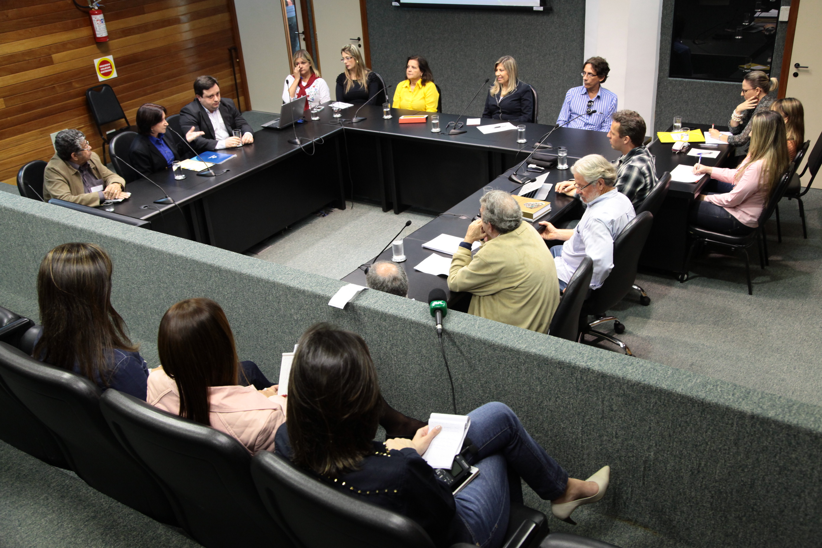 Reunião da Comissão Mista Especial, sobre as comemorações relativas ao centenário do artista plástico Willy Alfredo Zumblick. Foto: Miriam Zomer