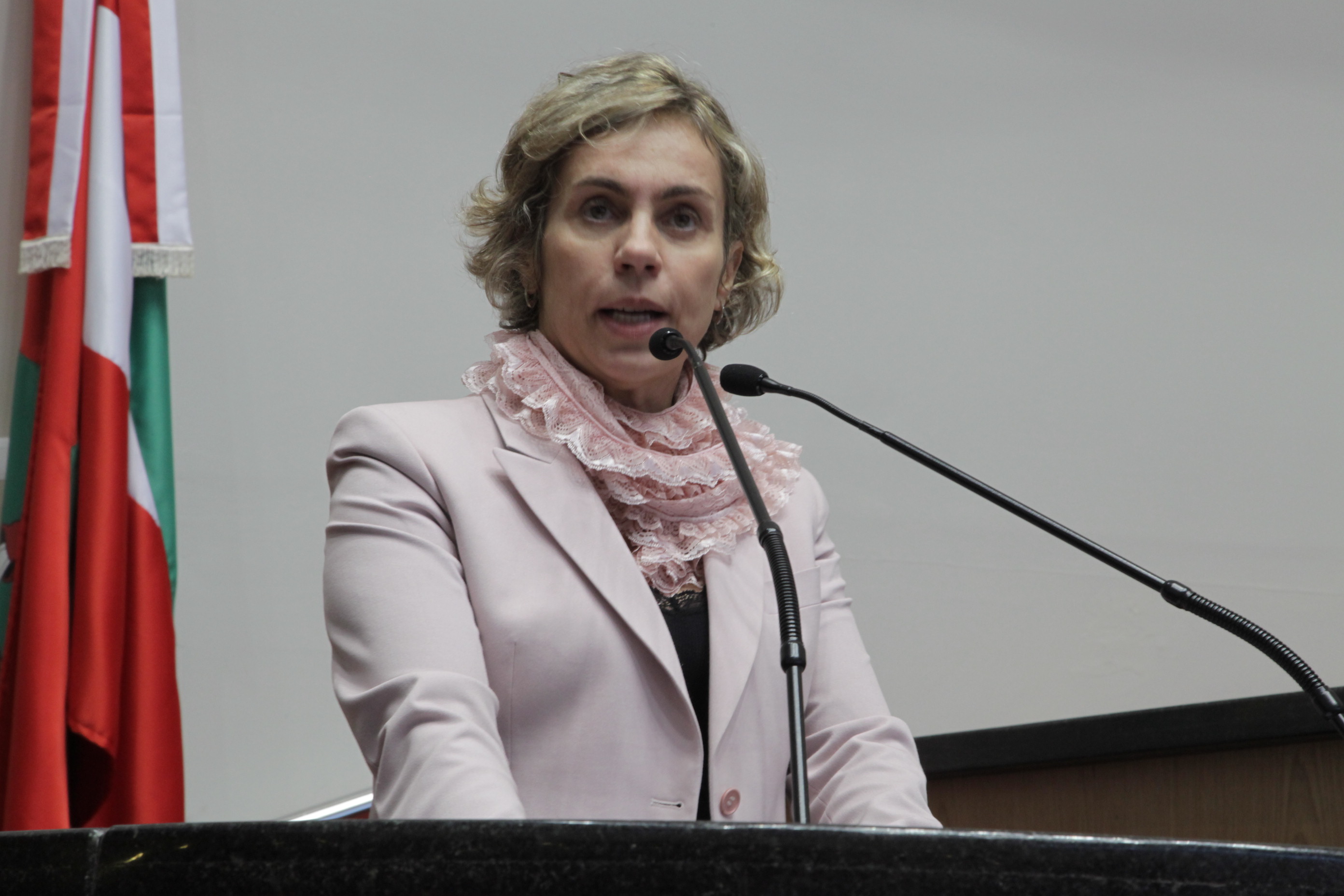Sessão Ordinária - Plenário Osni Régis - Deputada: Ana Paula Lima (PT) - Foto: SS