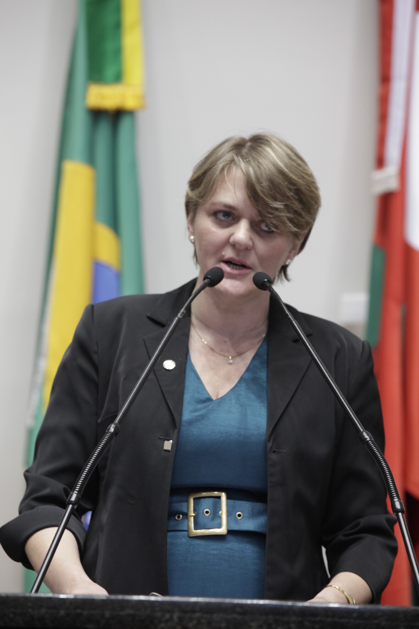 Deputados destacam projetos voltados para a educação