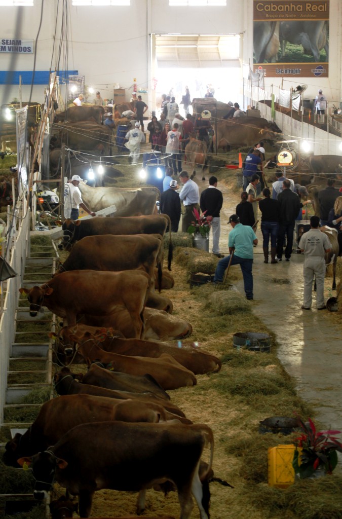 Pavilhao da FEAGRO 2013   Foto Carlos Kilian/AgenciaAL