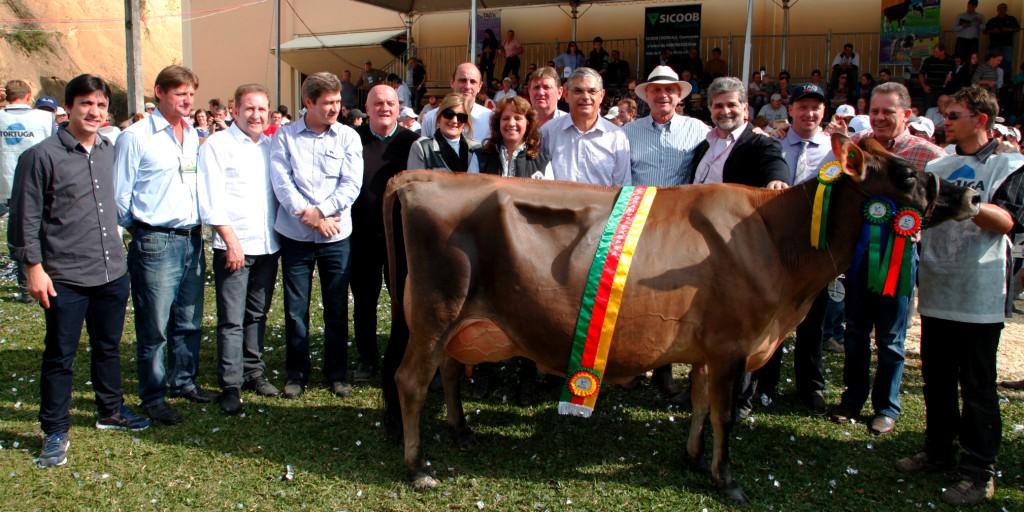 Autoridades Politicas e Criadores da Raca Jersey durante cerimonia de premiacao da Grande Campea da FEAGRO 2013 a vaca da Raca Jersey Niilma.  Foto Carlos Kilian/AgenciaAL
