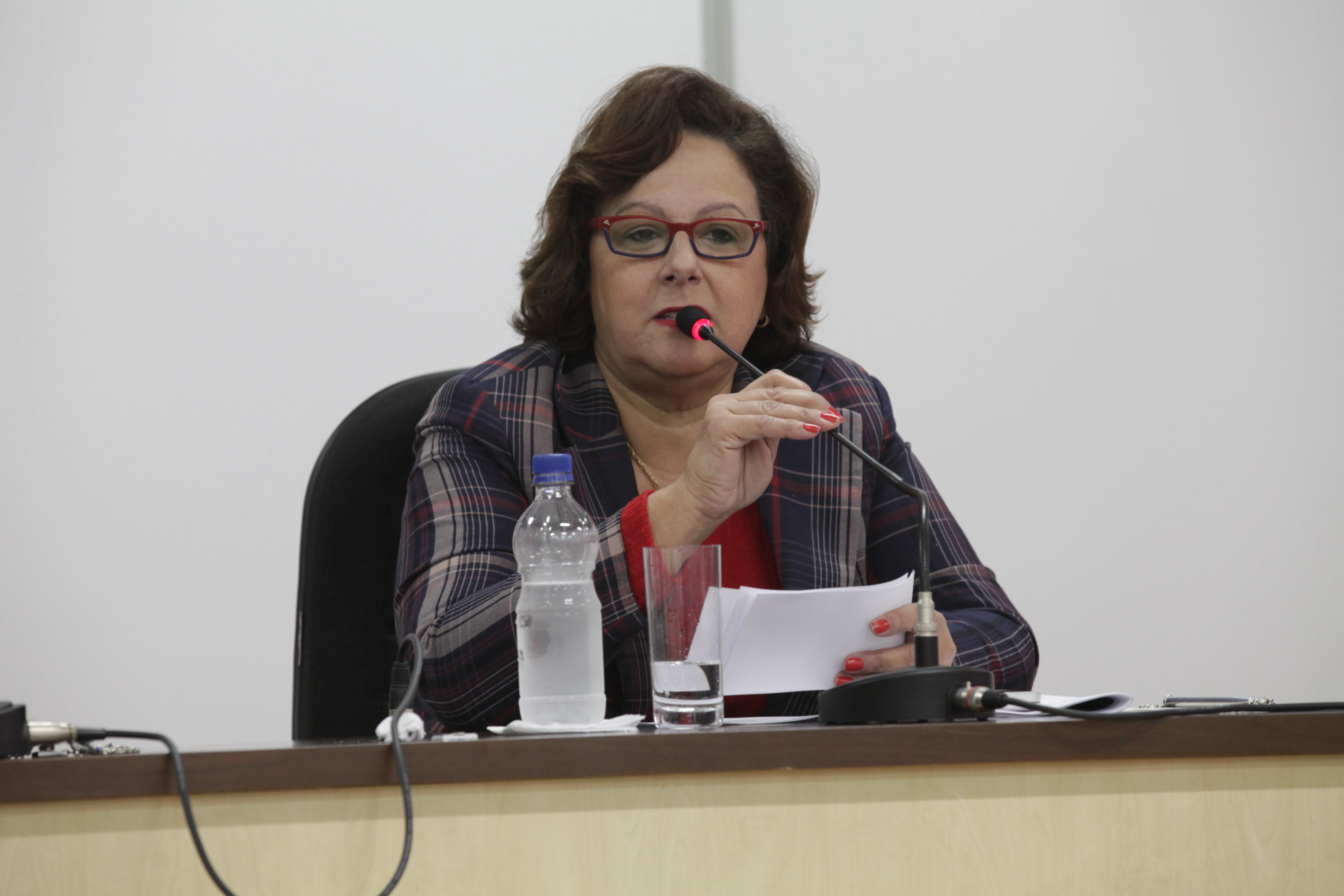 Audiência Pública em Xanxerê- Envelhecimento Digno - Deputada Dirce Heidercheidt (PMDB)