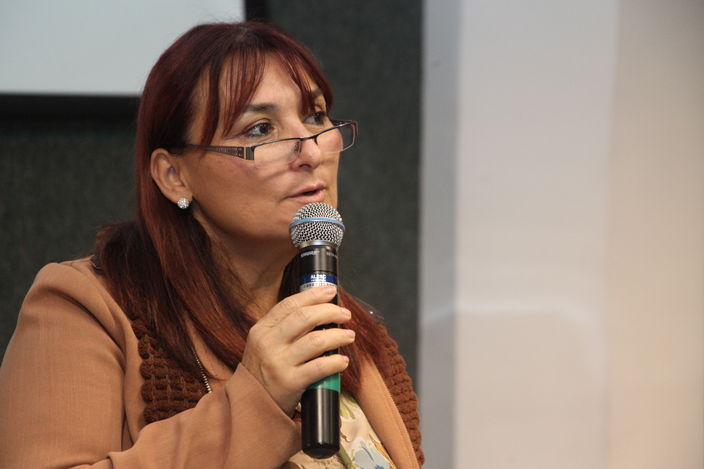 I Seminário Saúde Mental e Atenção Psicossocial. Foto: Fábio Queiroz