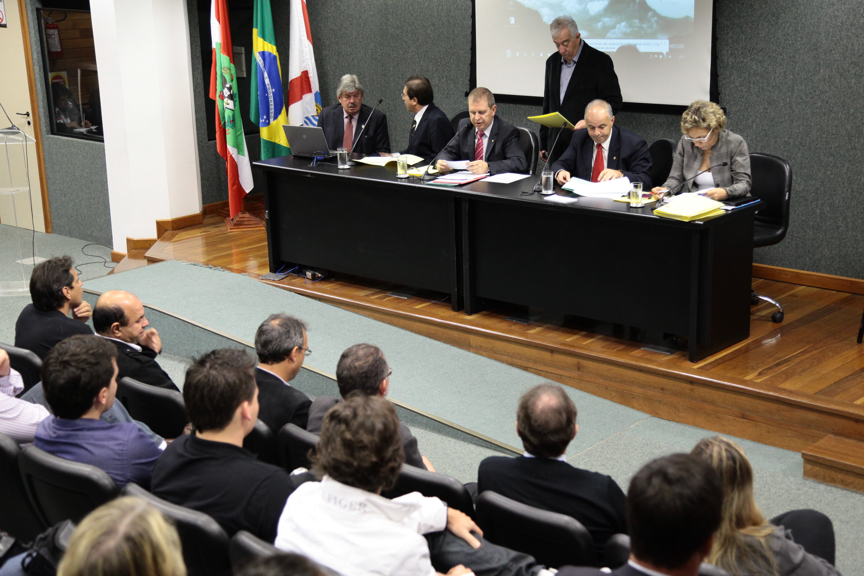 Comissão de Segurança Pública
