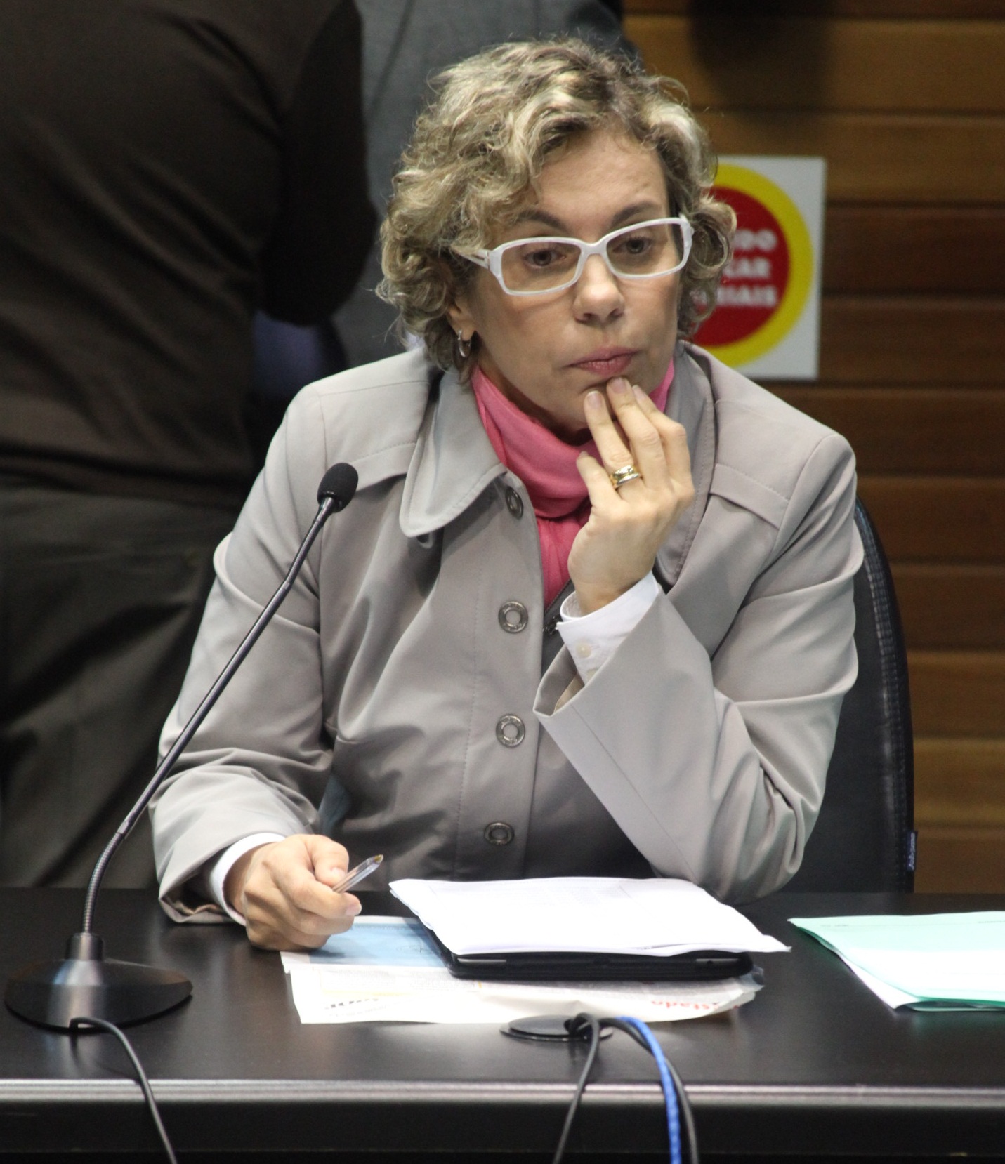 Comissão de Constituição e Justiça - Dep. Ana Paula Lima - Foto: Juliana Stadnik