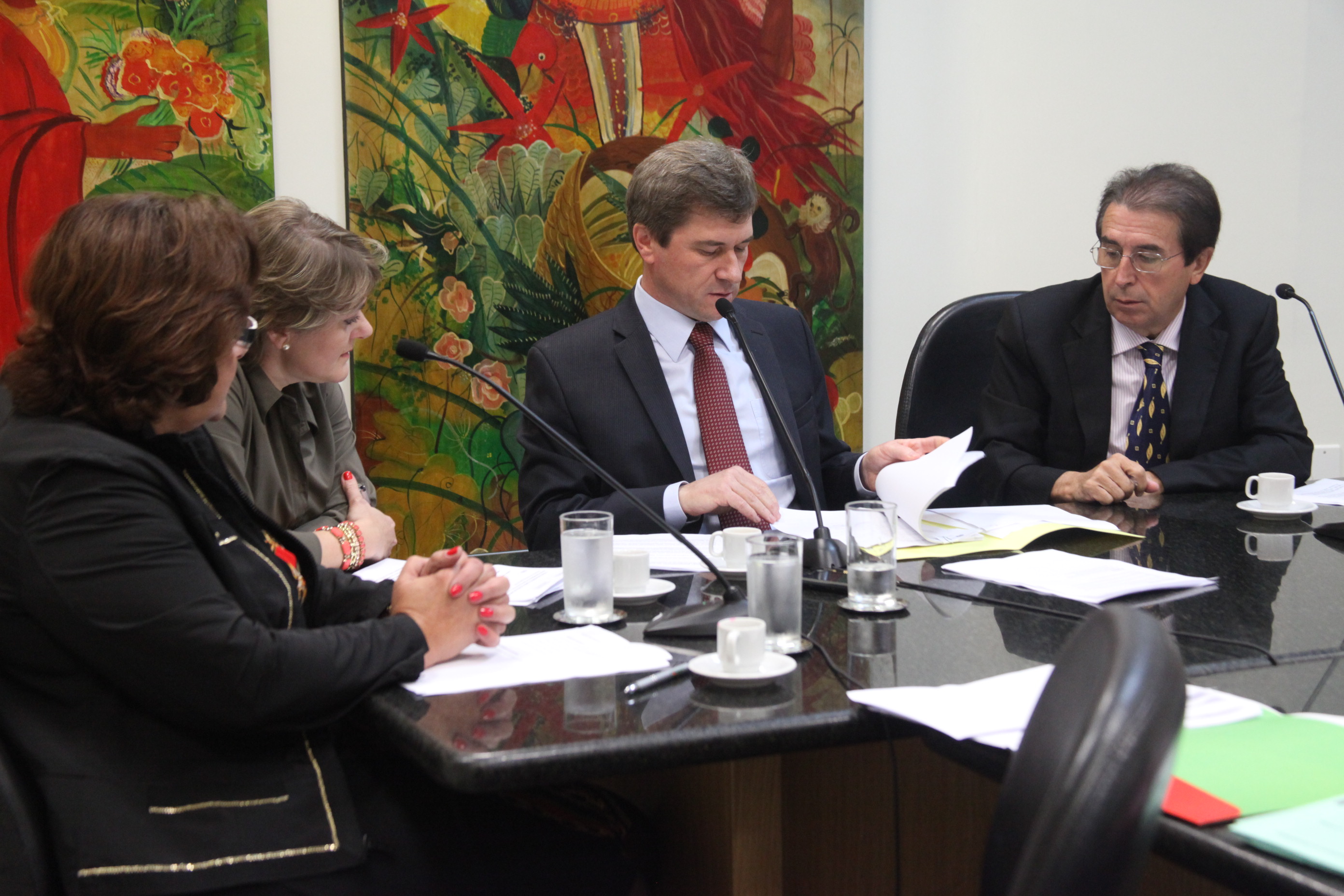 Comissão de Direito das Pessoas com Deficiência - Foto: Juliana Stadnik