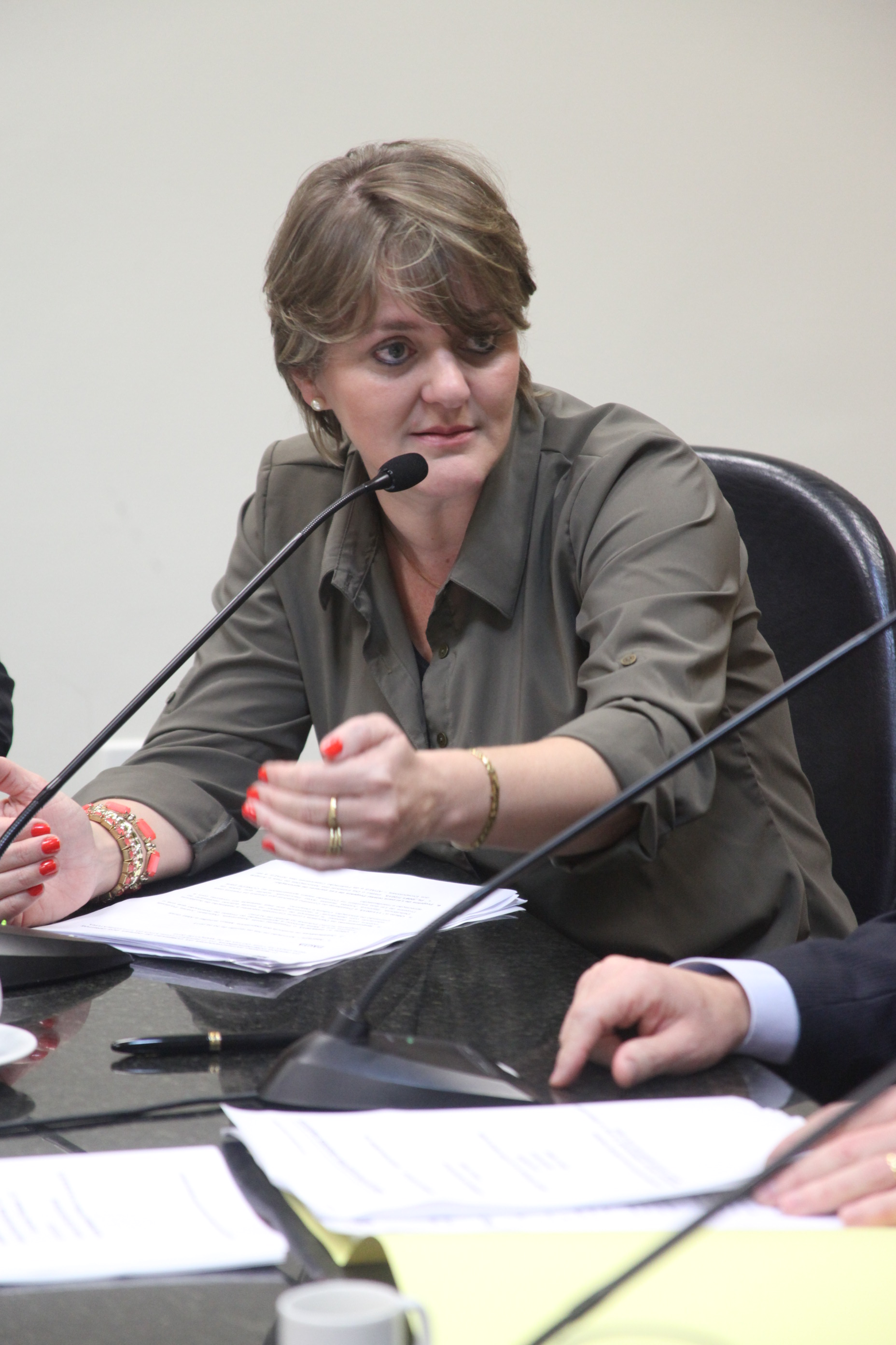 Comissão de Direito das Pessoas com Deficiência - Dep. Luciane Carminatti - Foto: Juliana Stadnik