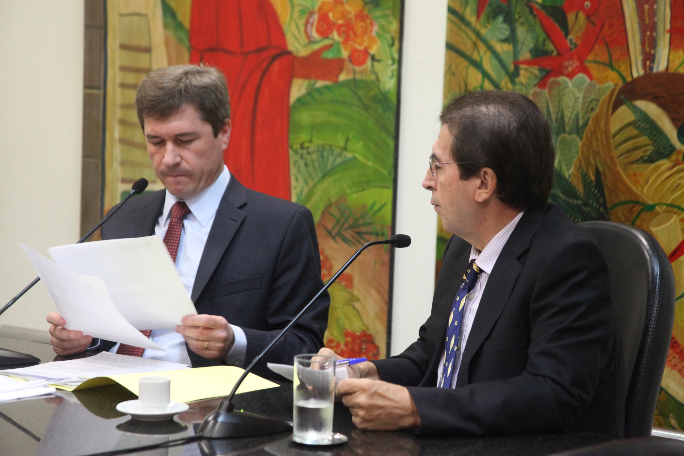 Comissão de Direito das Pessoas com Deficiência - Foto: Juliana Stadnik
