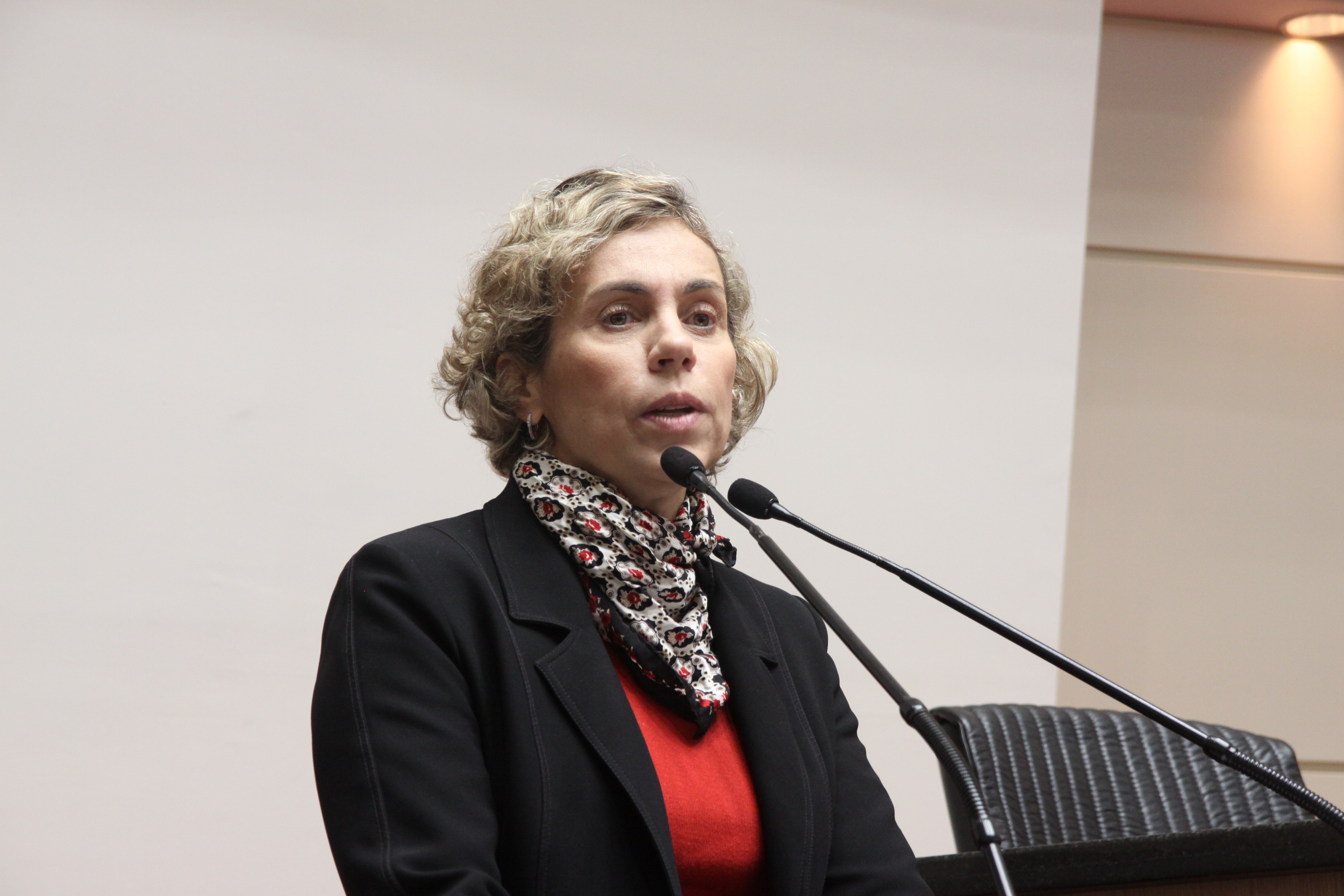 Plenário. Dep. Ana Paula Lima Foto: Eduardo Guedes de Oliveira