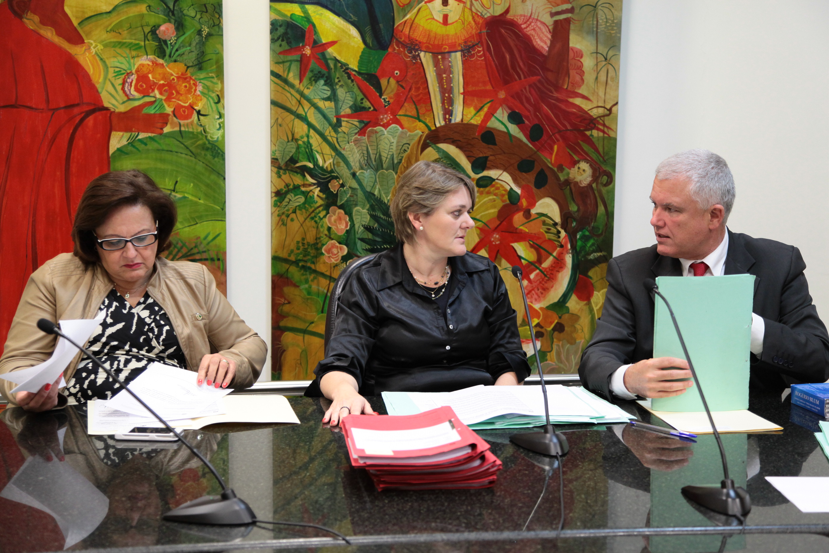 Reunião da Comissão de Direitos e Garantias Fundamentais. Foto: Miriam Zomer