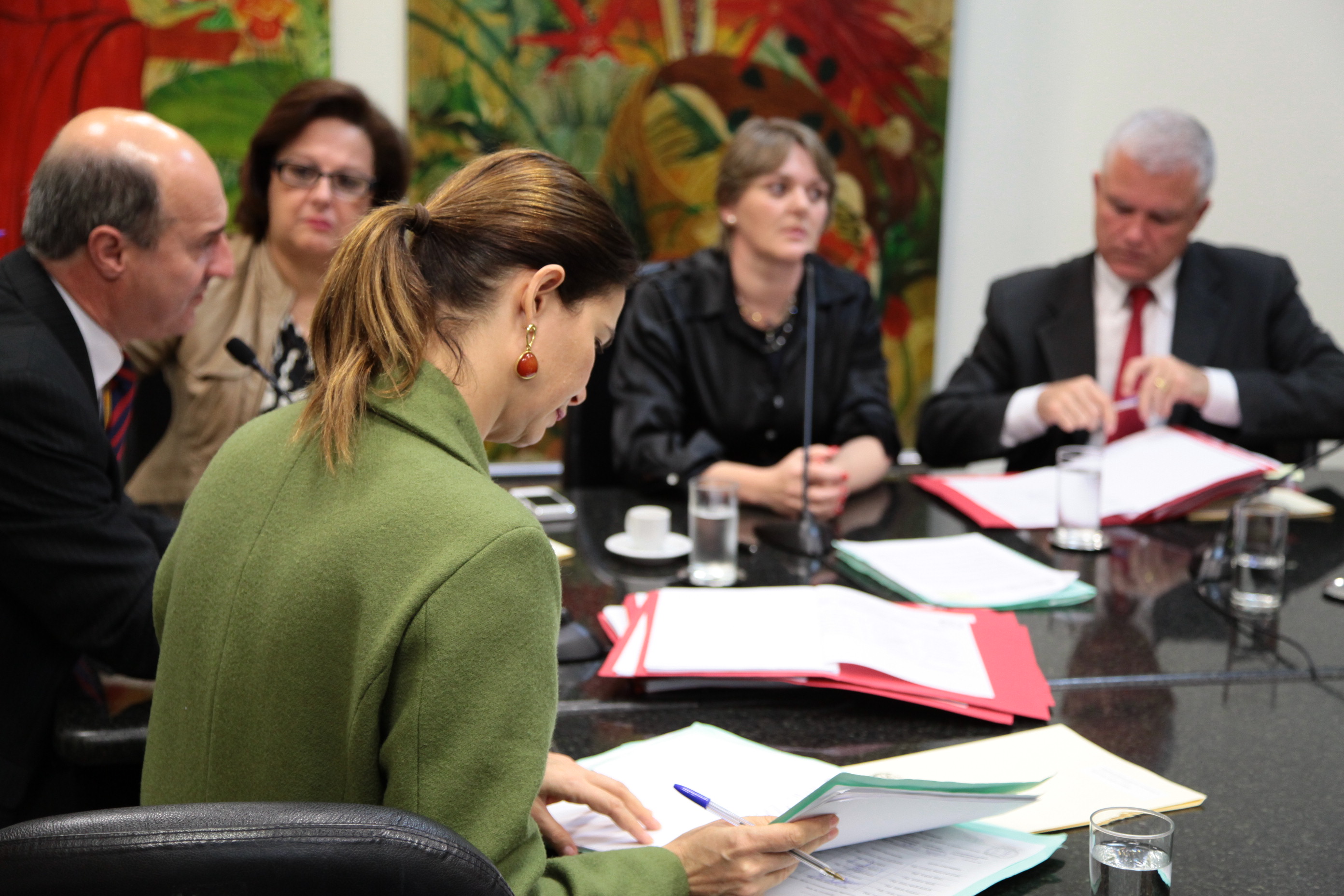 Reunião da Comissão de Direitos e Garantias Fundamentais. Foto: Miriam Zomer
