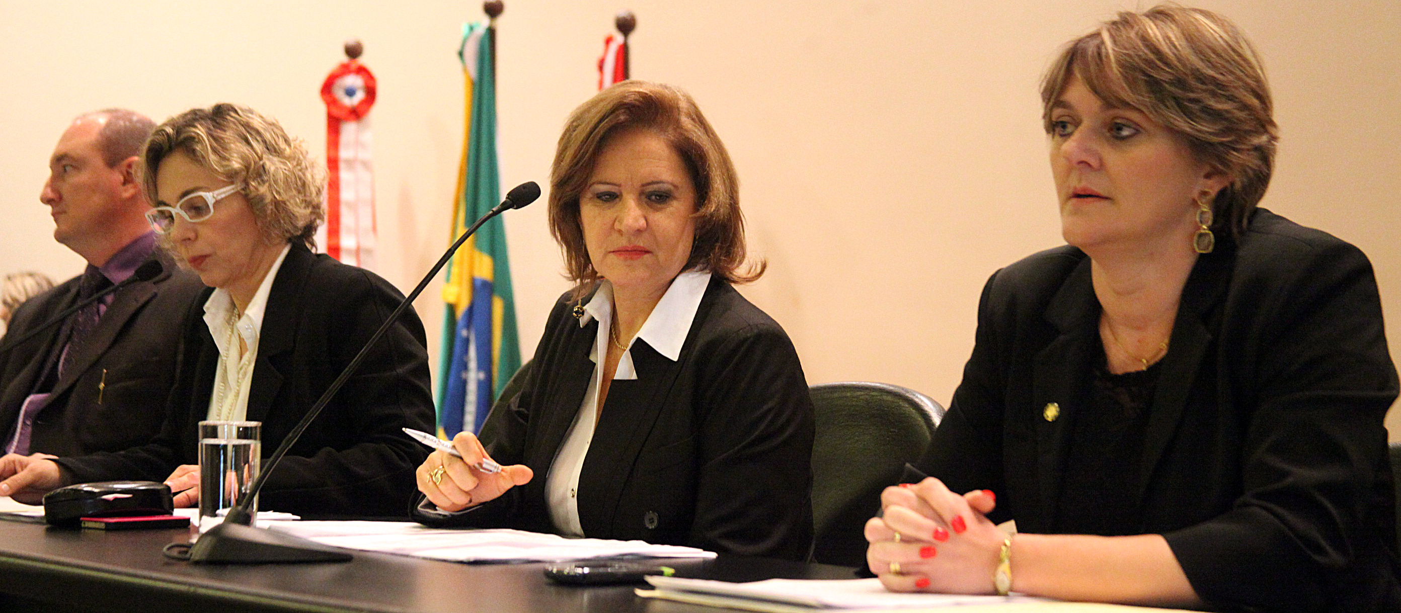 Audiência Pública que debate o processo de escolha dos Diretores de Escola no Estado de Santa Catarina, de que tratam o Projeto de Lei nº 0204.0/2012 e o Projeto de Lei nº 0308.7/2012. Foto: Fábio Queiroz