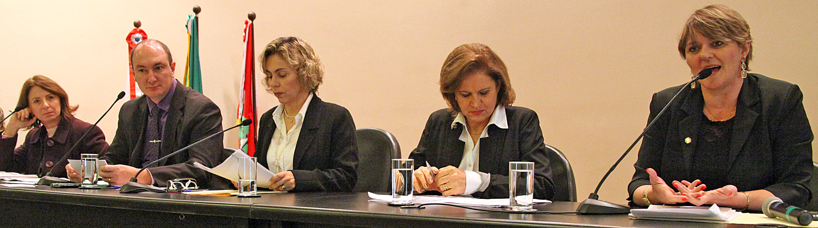 Audiência Pública que debate o processo de escolha dos Diretores de Escola no Estado de Santa Catarina, de que tratam o Projeto de Lei nº 0204.0/2012 e o Projeto de Lei nº 0308.7/2012. Foto: Fábio Queiroz