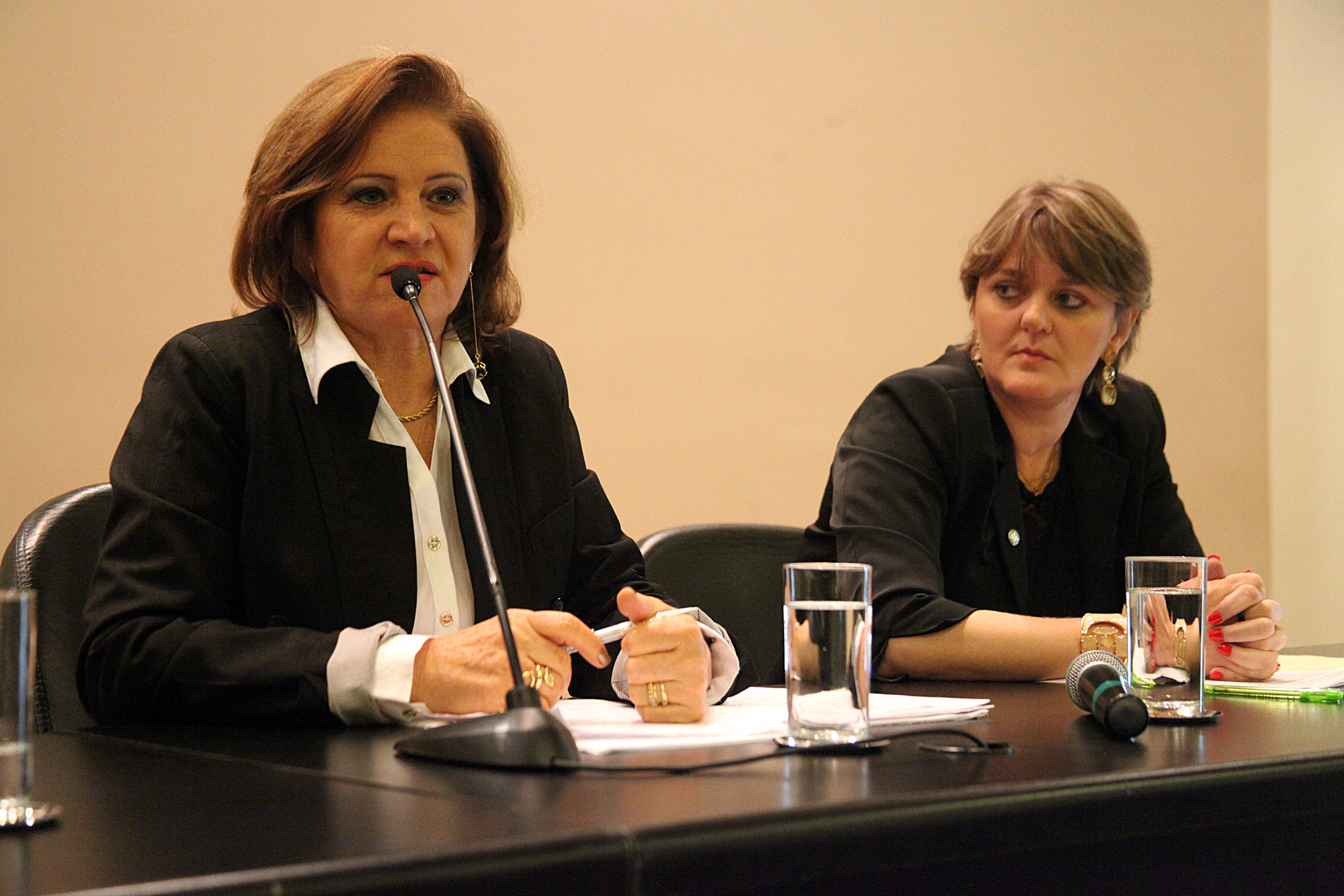Audiência Pública que debate o processo de escolha dos Diretores de Escola no Estado de Santa Catarina, de que tratam o Projeto de Lei nº 0204.0/2012 e o Projeto de Lei nº 0308.7/2012. Foto: Fábio Queiroz