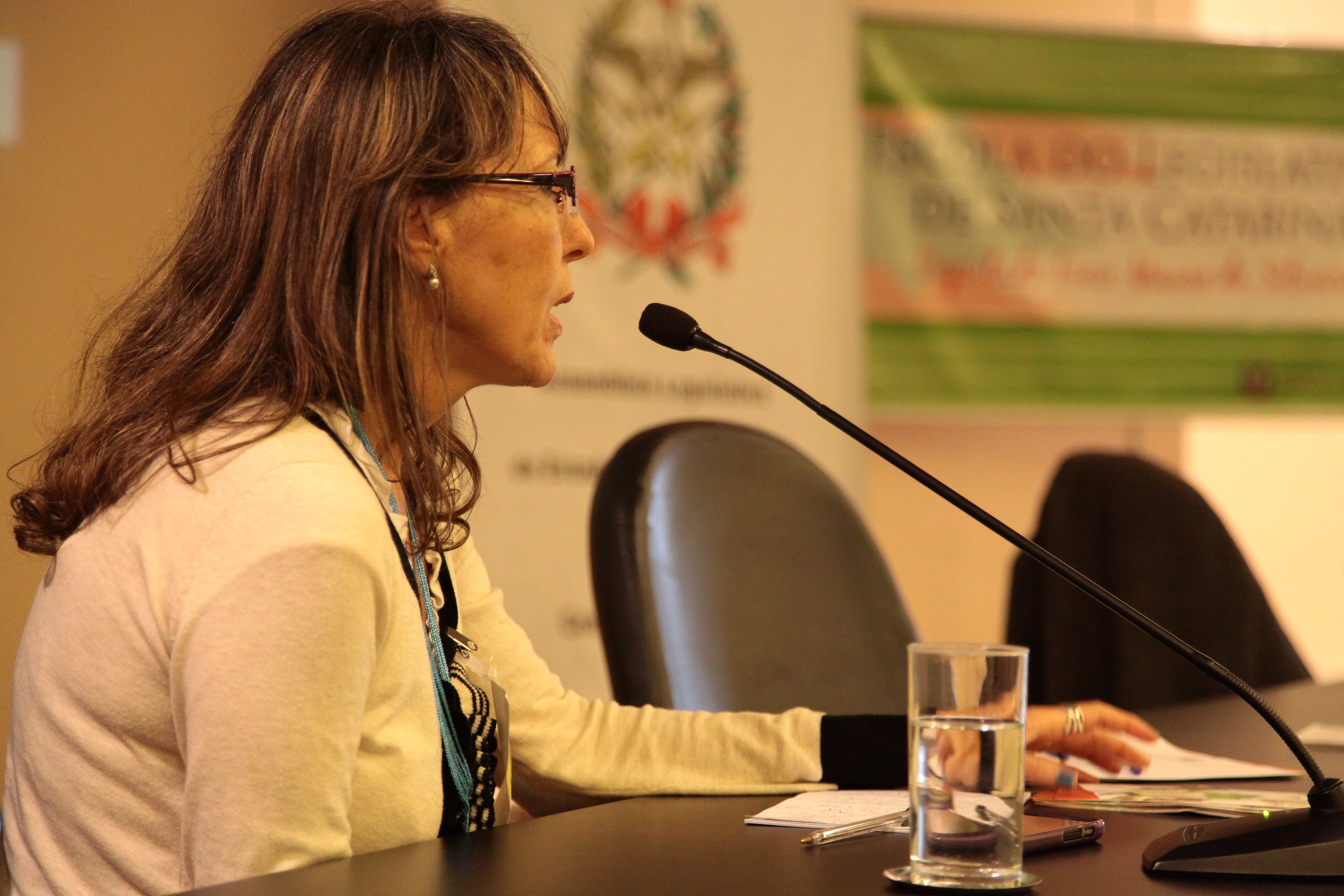 II Seminário de Práticas Integrativas e Complementares da Região Sul.  Soraya Terra Coury - SES/DF.  Foto: Miriam Zomer
